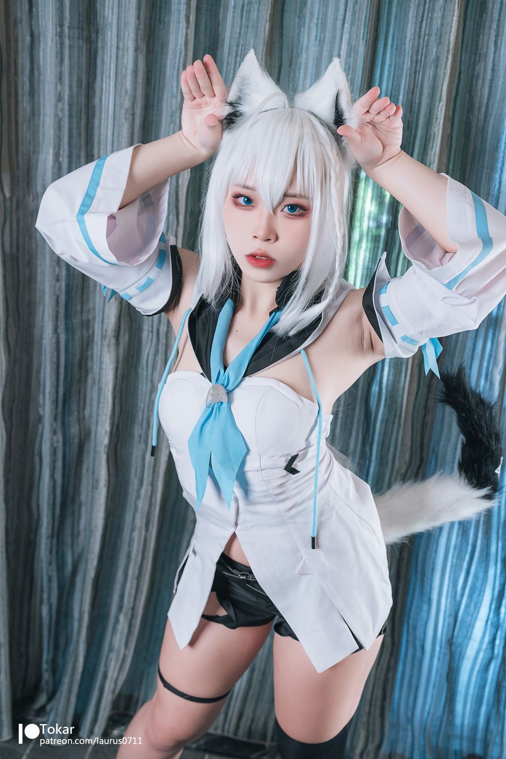 Coser@Tokar浵卡: 白上吹雪 Shirakami Fubuki (43 photos ) 