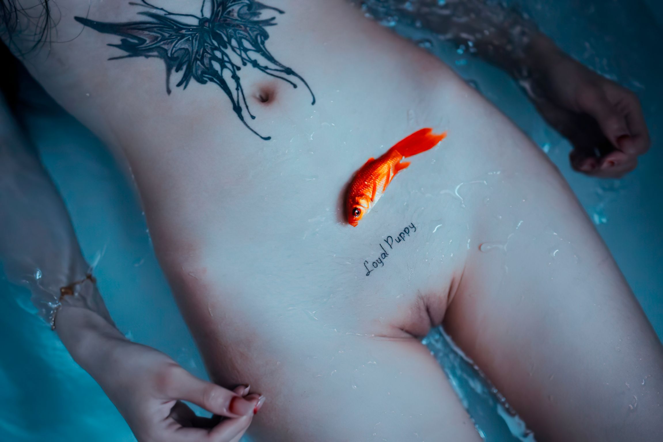 木贞: 极品女神户外私拍合集 (149 photos + 19 videos) 5 木贞: 极品女神户外私拍合集 (149 photos + 19 videos) 5