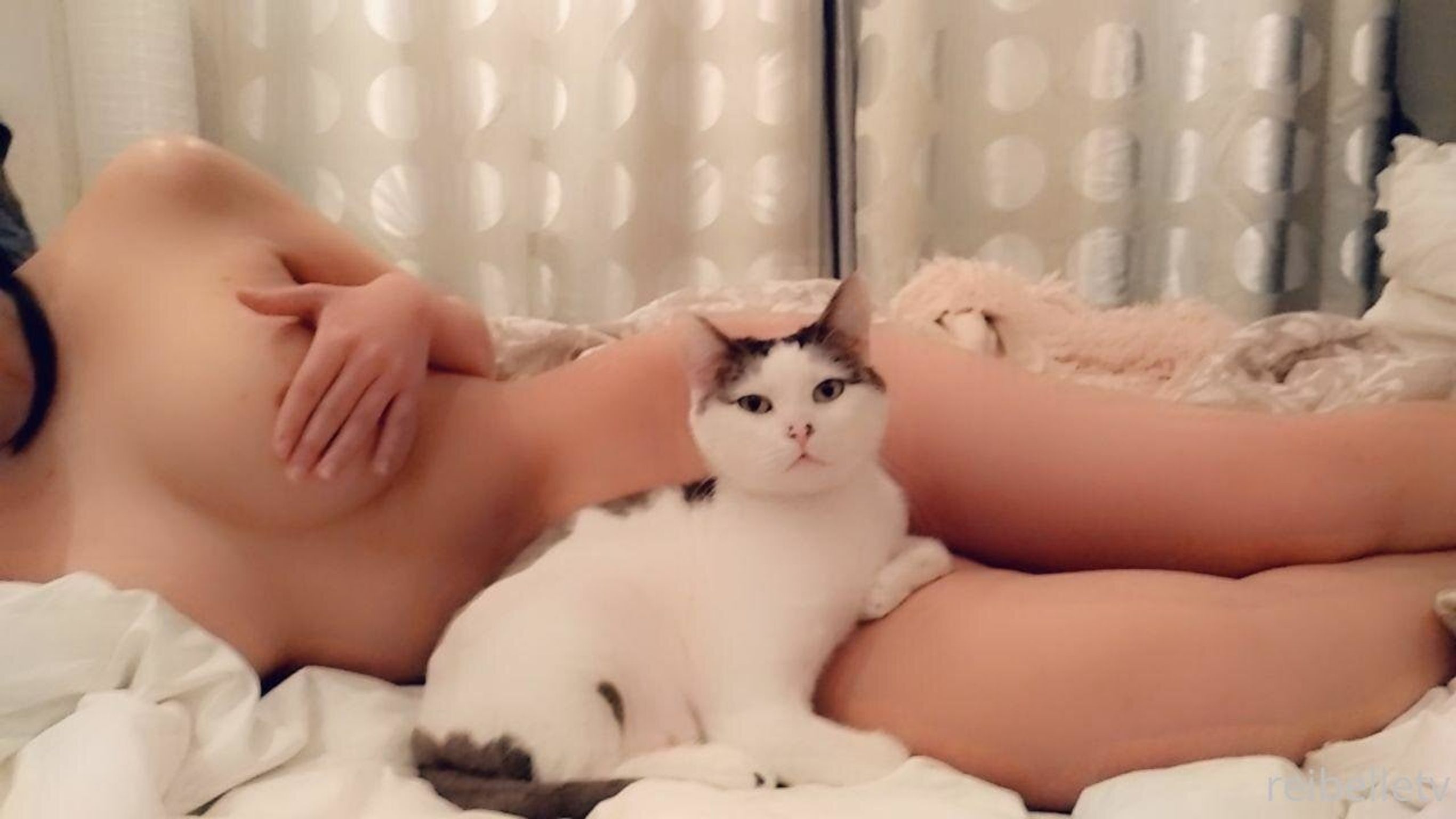 Reibelletv: 巨乳亚裔直播模特 OnlyFans私拍合集 (278 photos + 96 videos) 7 Reibelletv: 巨乳亚裔直播模特 OnlyFans私拍合集 (278 photos + 96 videos) 7