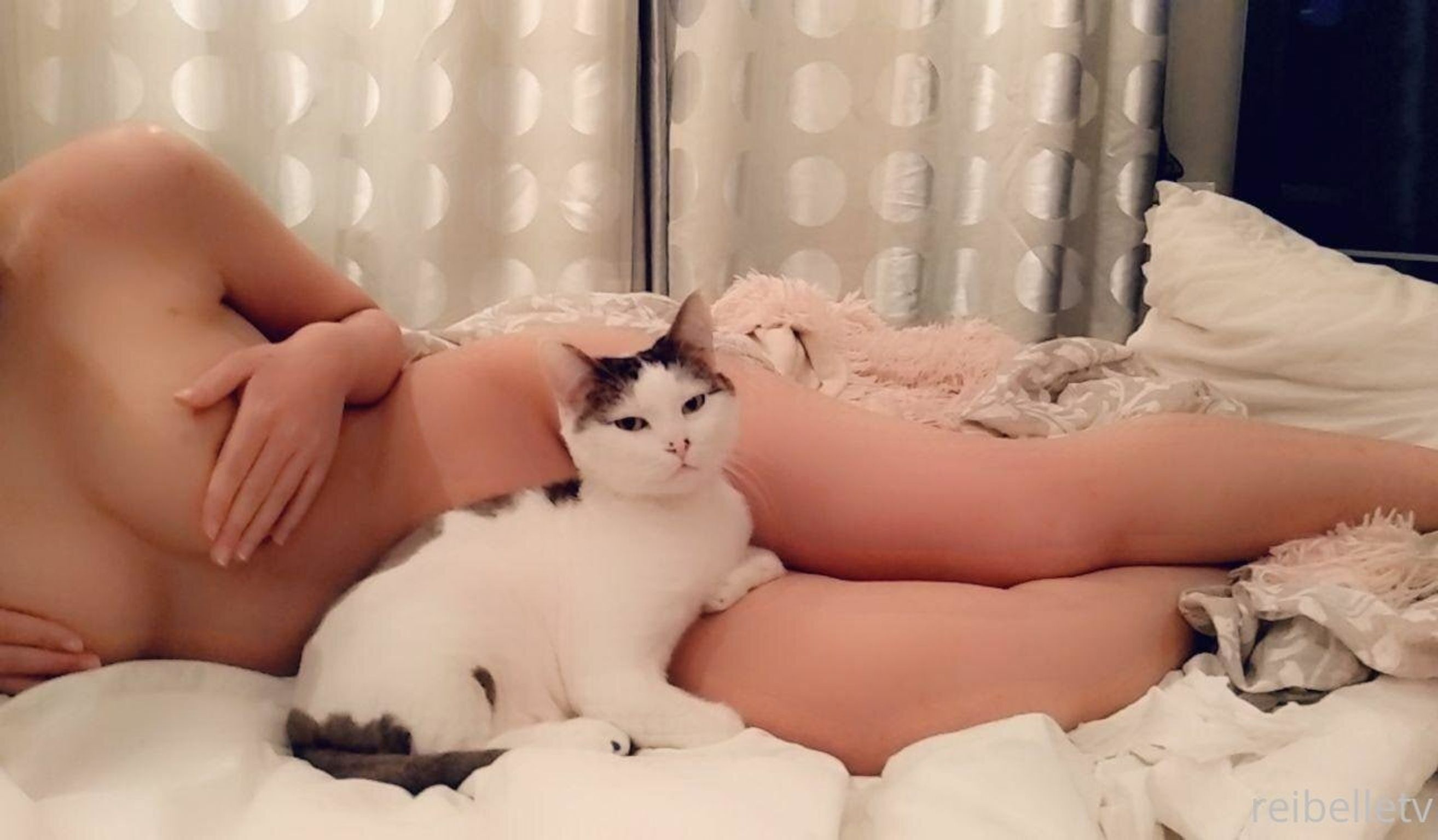 Reibelletv: 巨乳亚裔直播模特 OnlyFans私拍合集 (278 photos + 96 videos) 8 Reibelletv: 巨乳亚裔直播模特 OnlyFans私拍合集 (278 photos + 96 videos) 8