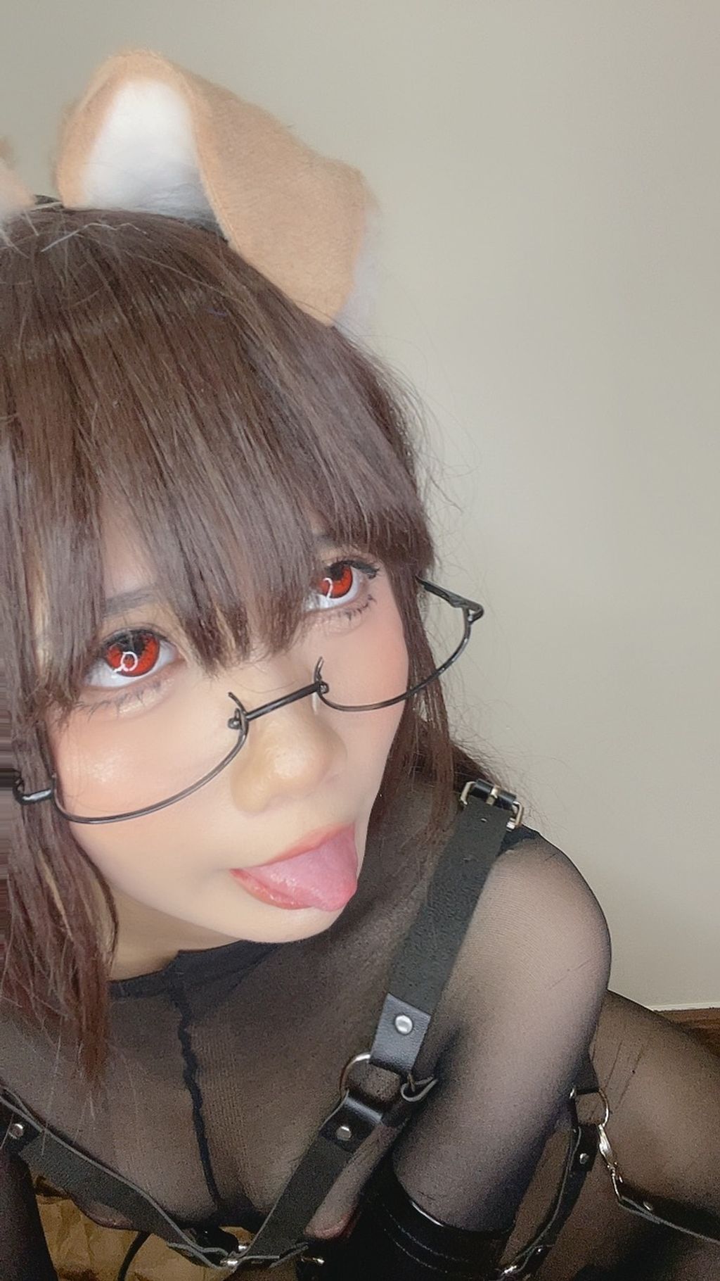 Coser@PoppaChan: Shiba Inu (110 photos + 10 videos) 2 Coser@PoppaChan: Shiba Inu (110 photos + 10 videos) 2