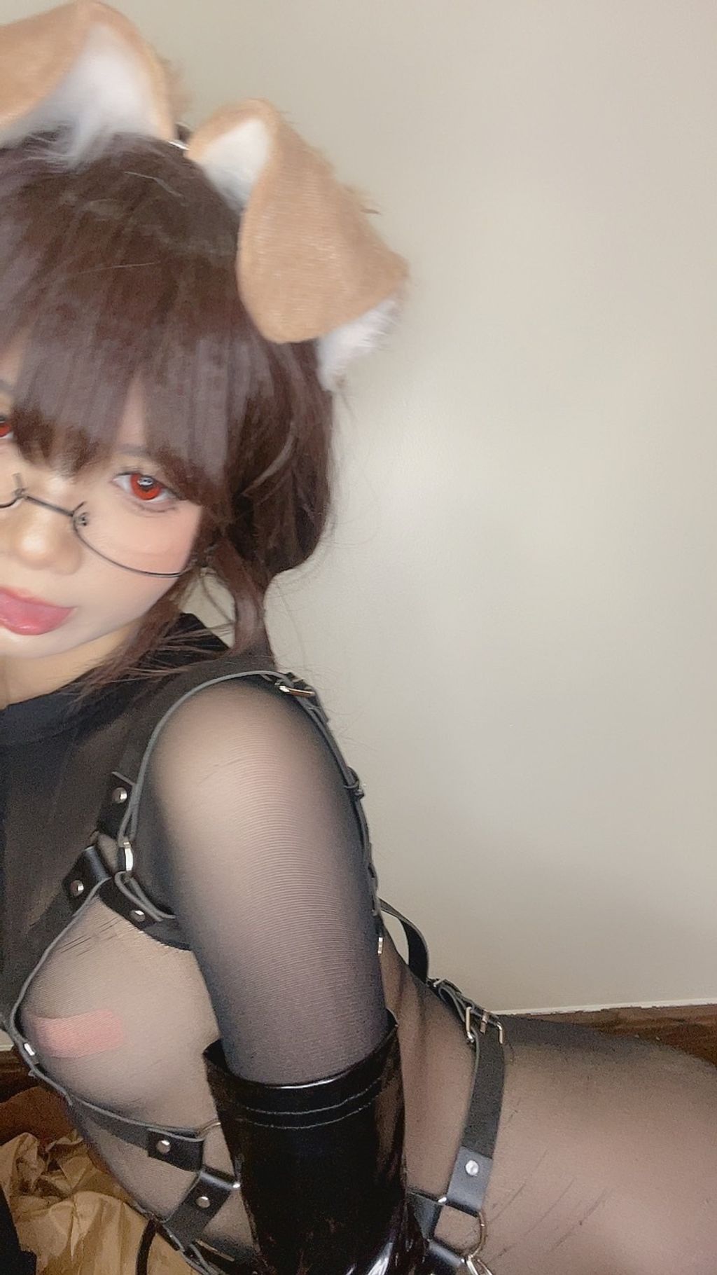 Coser@PoppaChan: Shiba Inu (110 photos + 10 videos) 5 Coser@PoppaChan: Shiba Inu (110 photos + 10 videos) 5