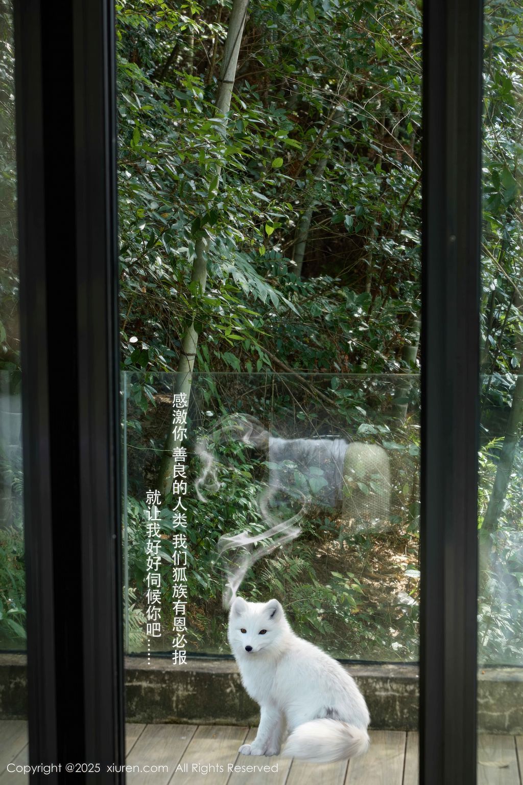 XIUREN No.11068: Yin Tian Tian (尹甜甜sunny) (56 photos)