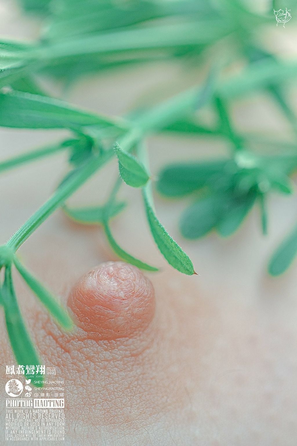浩廷: sheying_haoting (624 photos) 2 浩廷: sheying_haoting (624 photos) 2