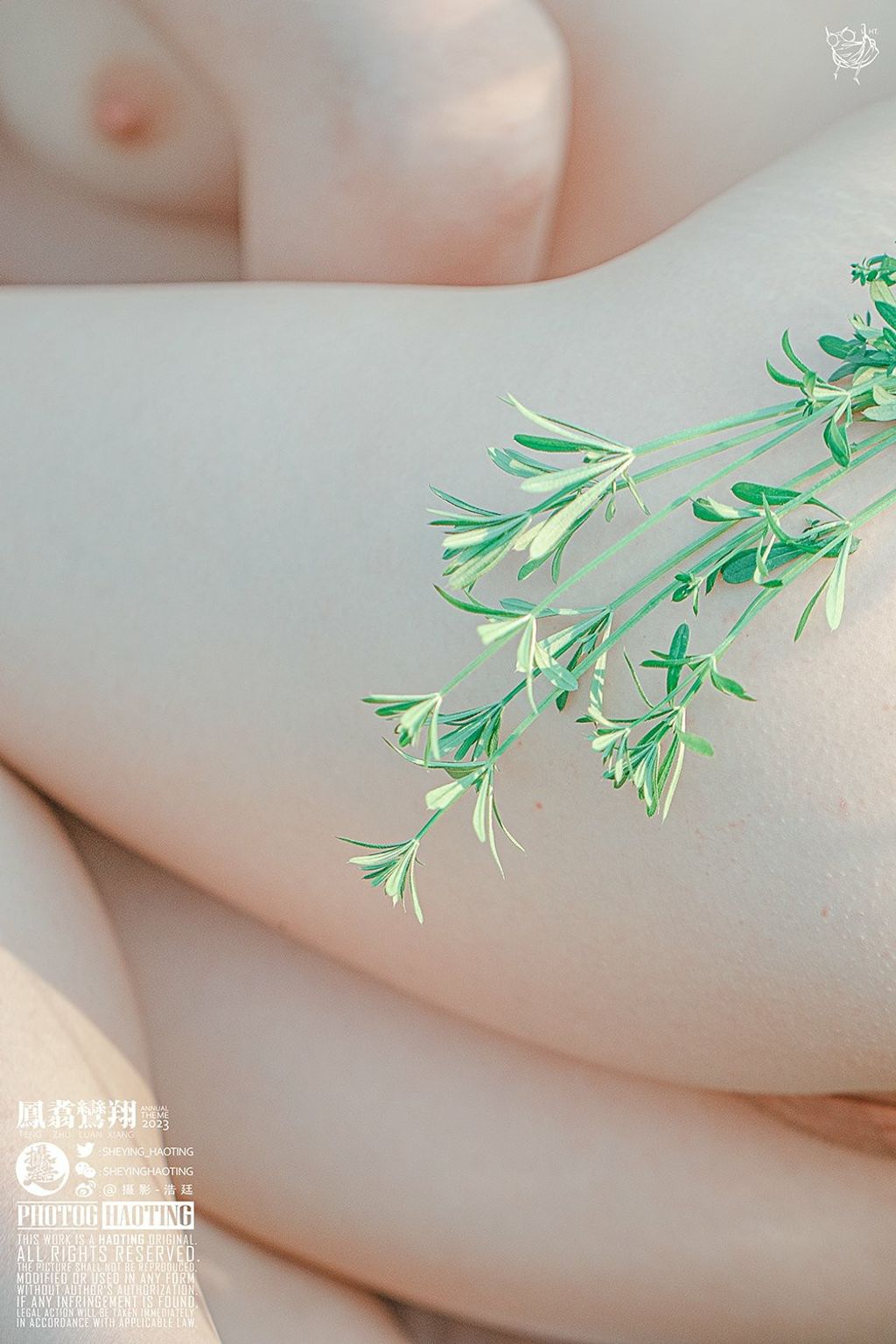 浩廷: sheying_haoting (624 photos) 4 浩廷: sheying_haoting (624 photos) 4
