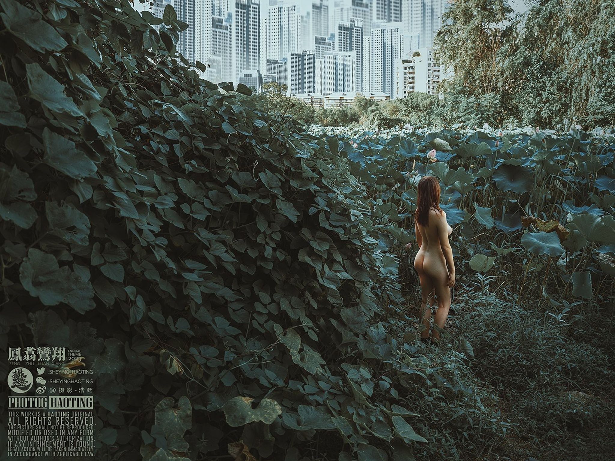 浩廷: sheying_haoting (624 photos) 13 浩廷: sheying_haoting (624 photos) 13