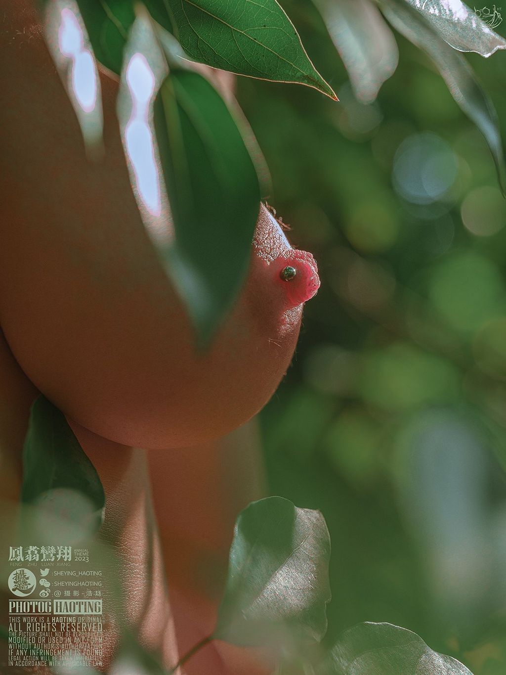 浩廷: sheying_haoting (624 photos) 1 浩廷: sheying_haoting (624 photos) 1
