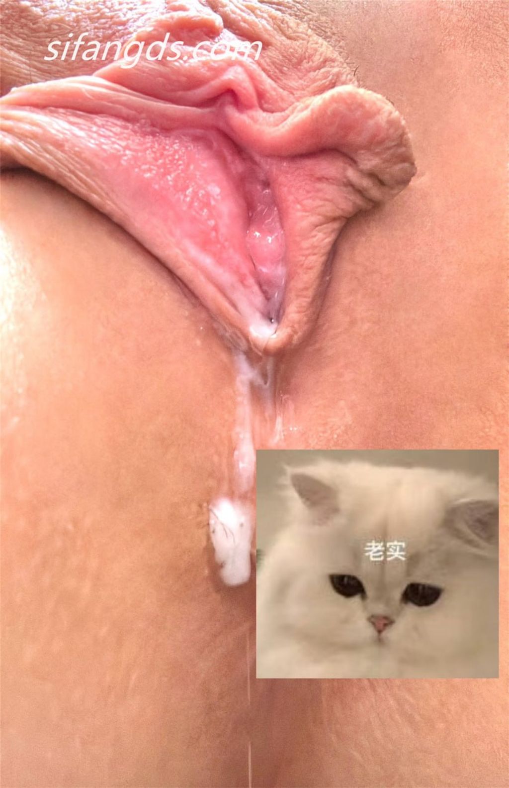 阳漾: X福利姬 角色扮演私拍 (182 photos + 40 videos) 10 阳漾: X福利姬 角色扮演私拍 (182 photos + 40 videos) 10