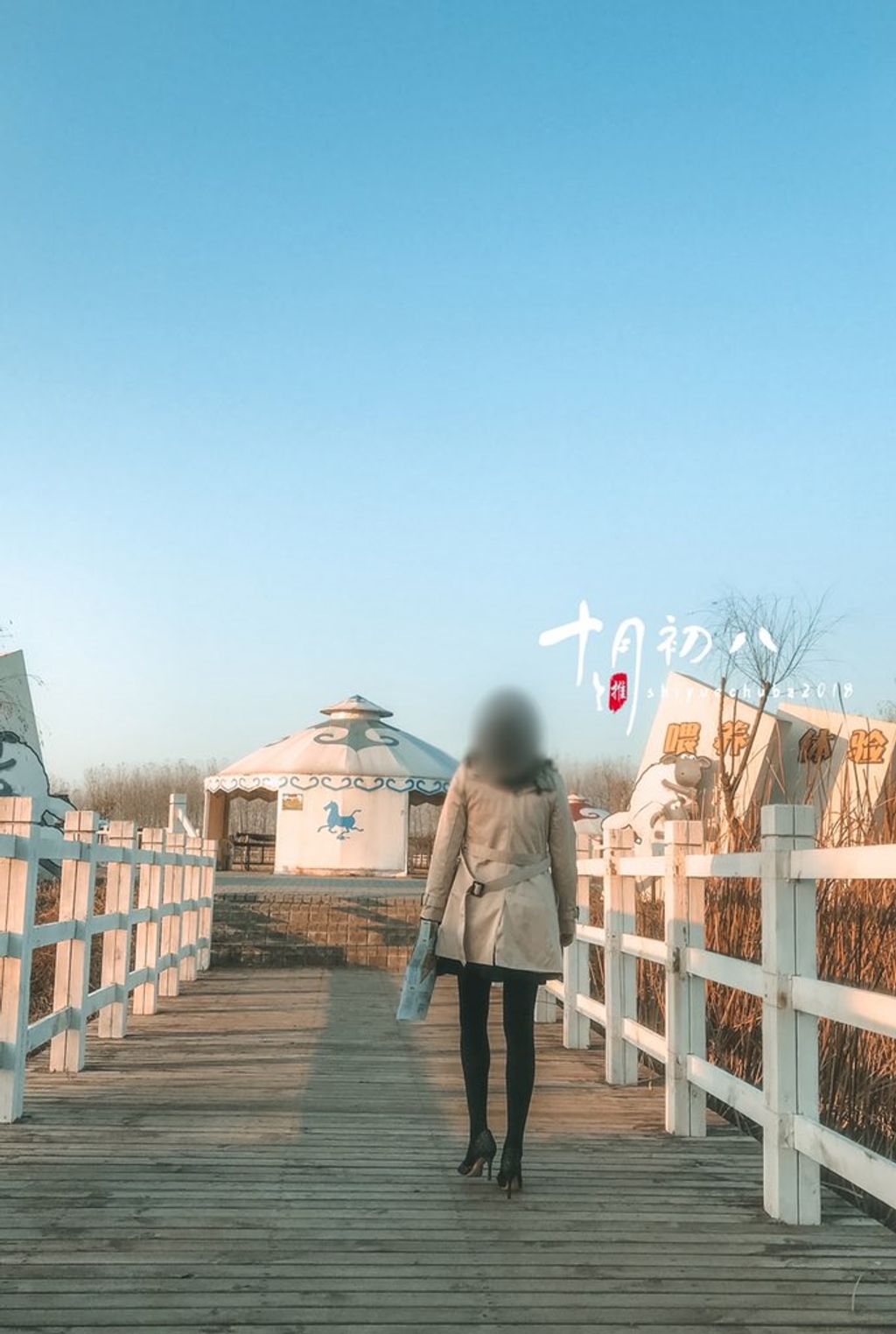 十月初八: 人前露出私拍合集 (645 photos + 8 videos) 17 十月初八: 人前露出私拍合集 (645 photos + 8 videos) 17