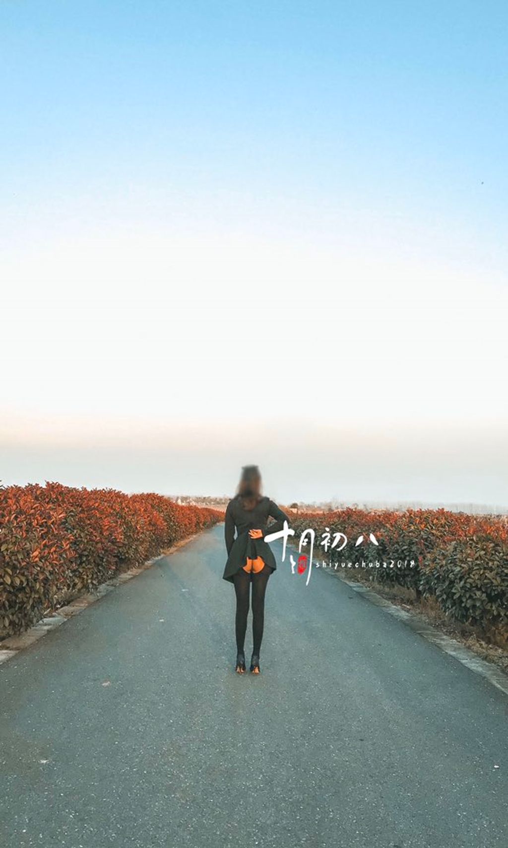 十月初八: 人前露出私拍合集 (645 photos + 8 videos) 15 十月初八: 人前露出私拍合集 (645 photos + 8 videos) 15