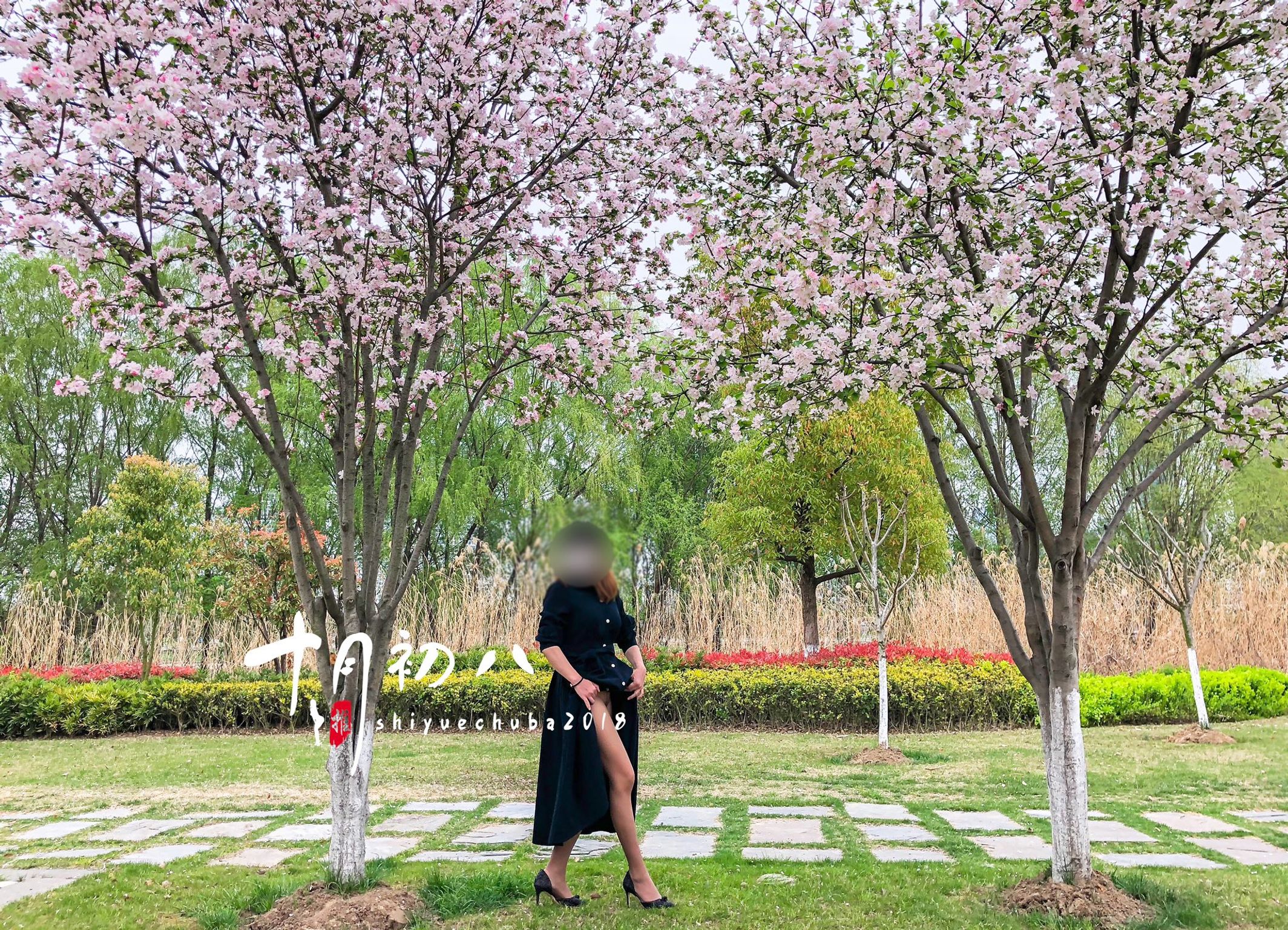 十月初八: 人前露出私拍合集 (645 photos + 8 videos) 5 十月初八: 人前露出私拍合集 (645 photos + 8 videos) 5