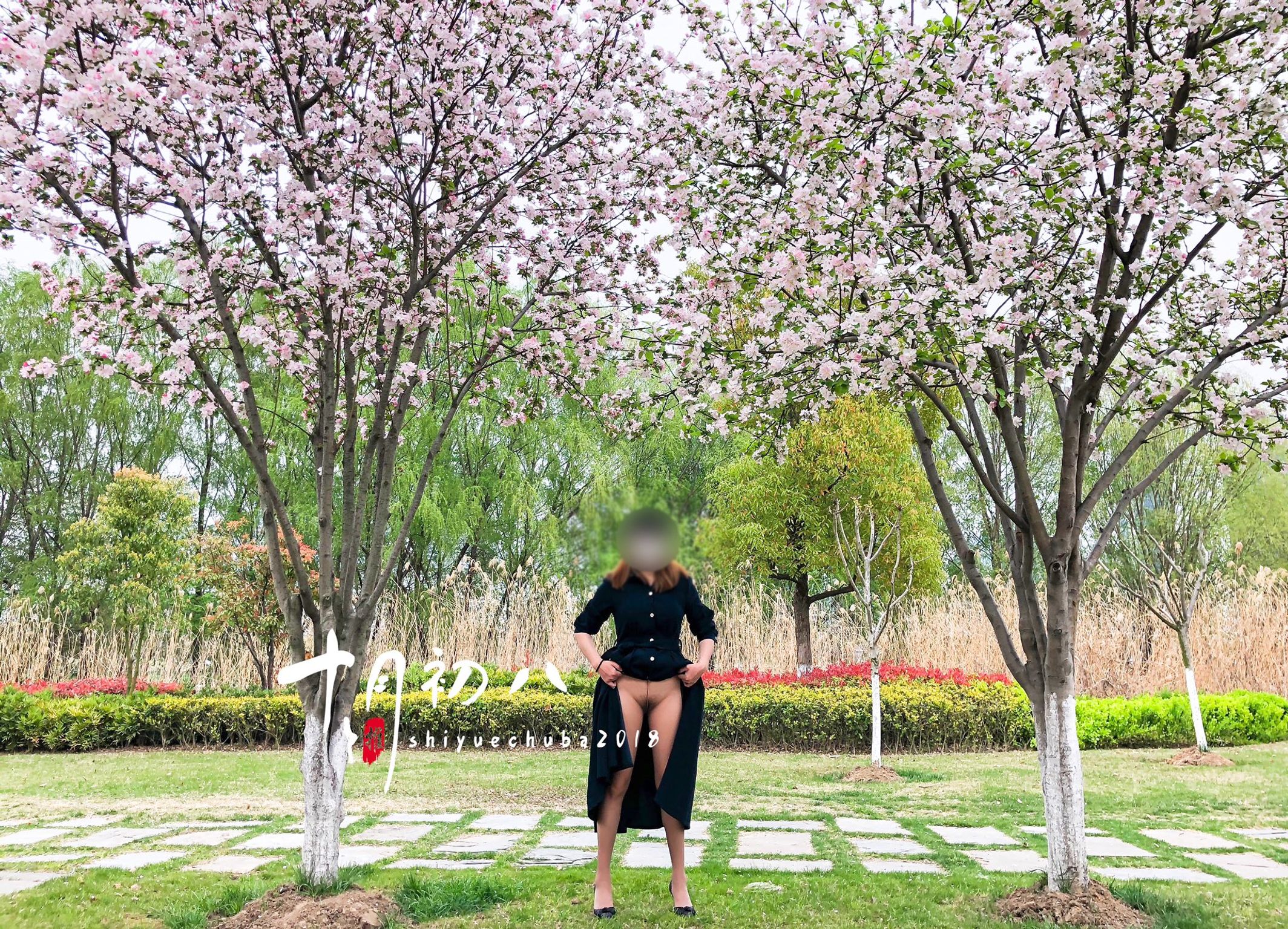 十月初八: 人前露出私拍合集 (645 photos + 8 videos) 6 十月初八: 人前露出私拍合集 (645 photos + 8 videos) 6