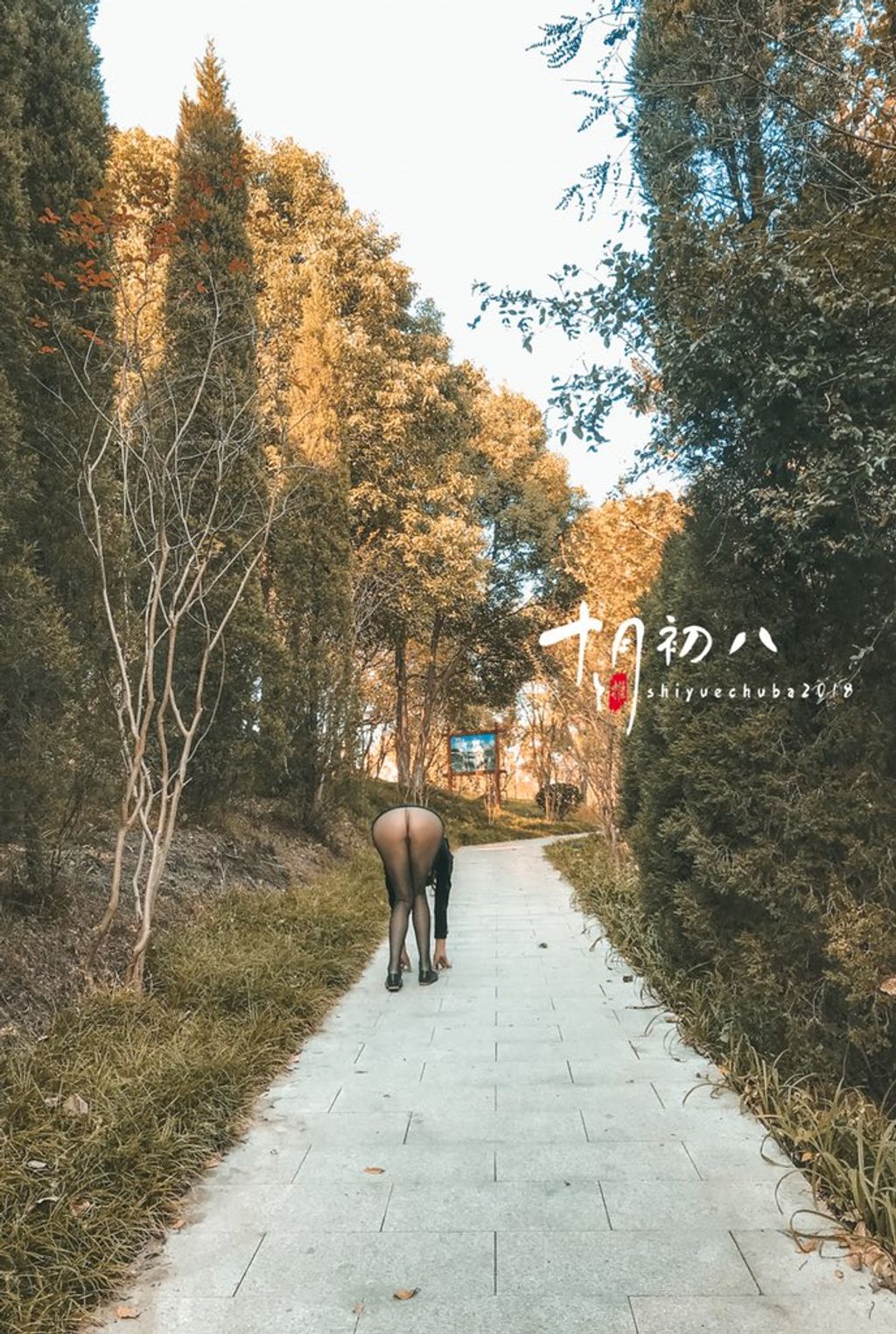 十月初八: 人前露出私拍合集 (645 photos + 8 videos) 8 十月初八: 人前露出私拍合集 (645 photos + 8 videos) 8
