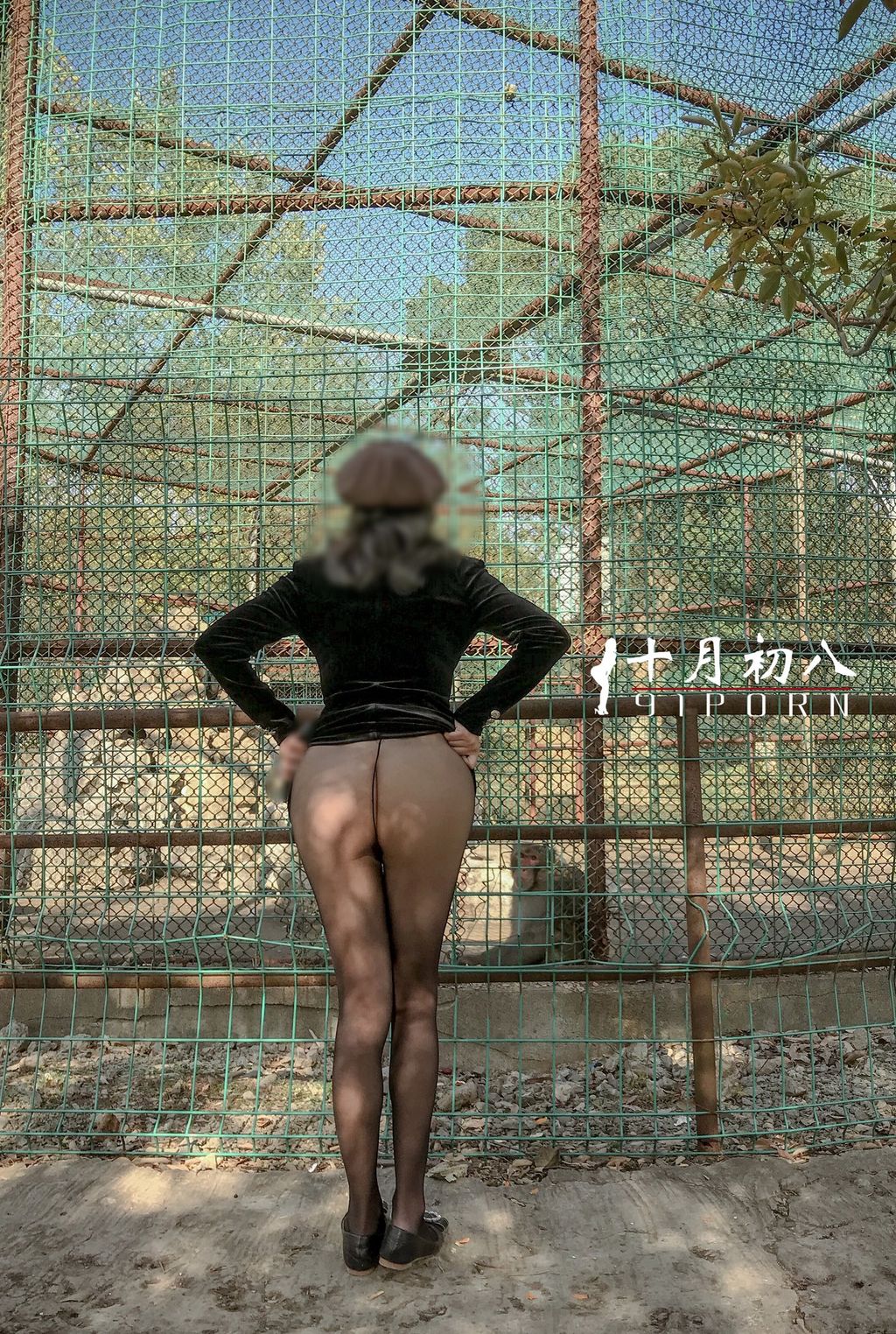 十月初八: 人前露出私拍合集 (645 photos + 8 videos) 5 十月初八: 人前露出私拍合集 (645 photos + 8 videos) 5