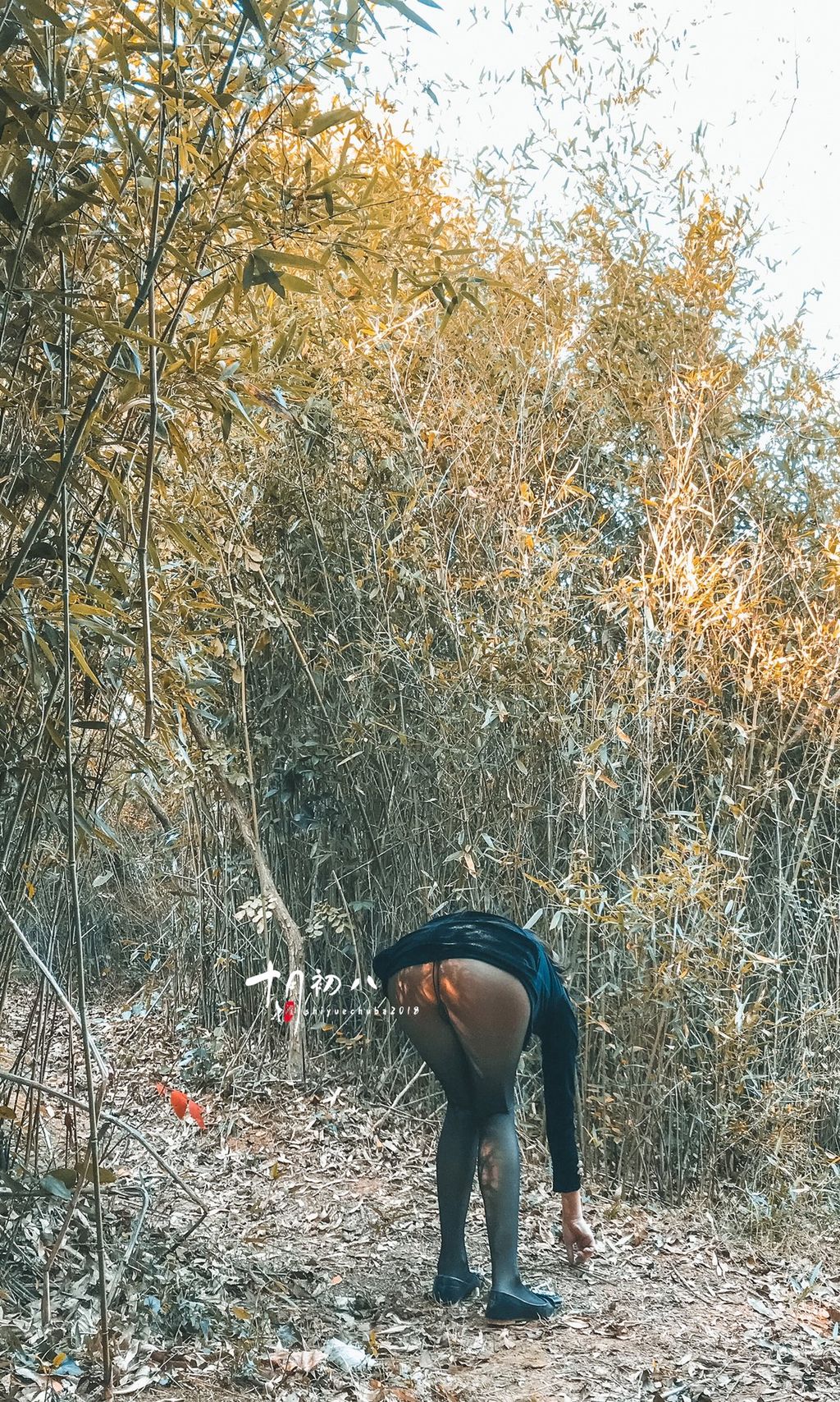 十月初八: 人前露出私拍合集 (645 photos + 8 videos) 15 十月初八: 人前露出私拍合集 (645 photos + 8 videos) 15