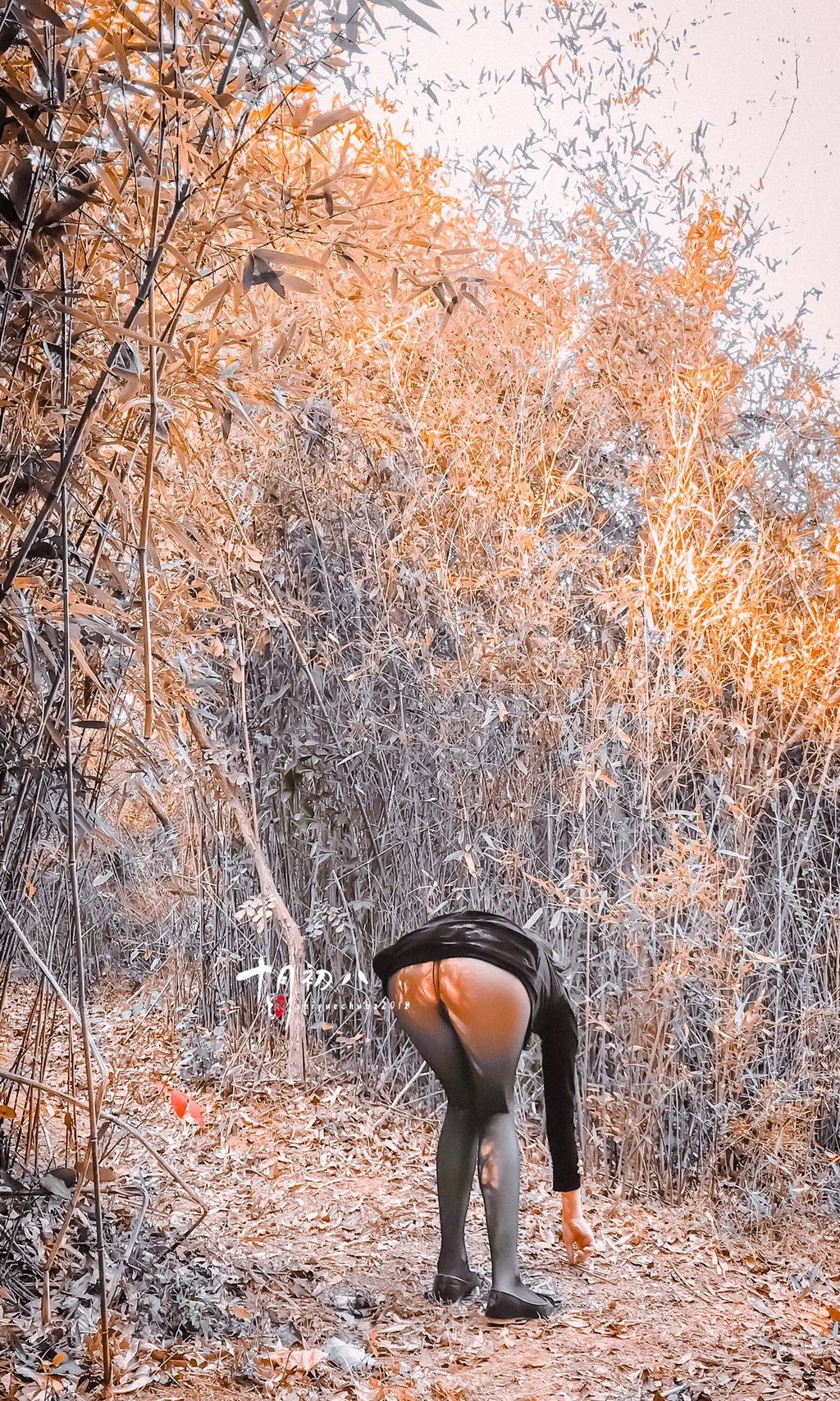 十月初八: 人前露出私拍合集 (645 photos + 8 videos) 14 十月初八: 人前露出私拍合集 (645 photos + 8 videos) 14