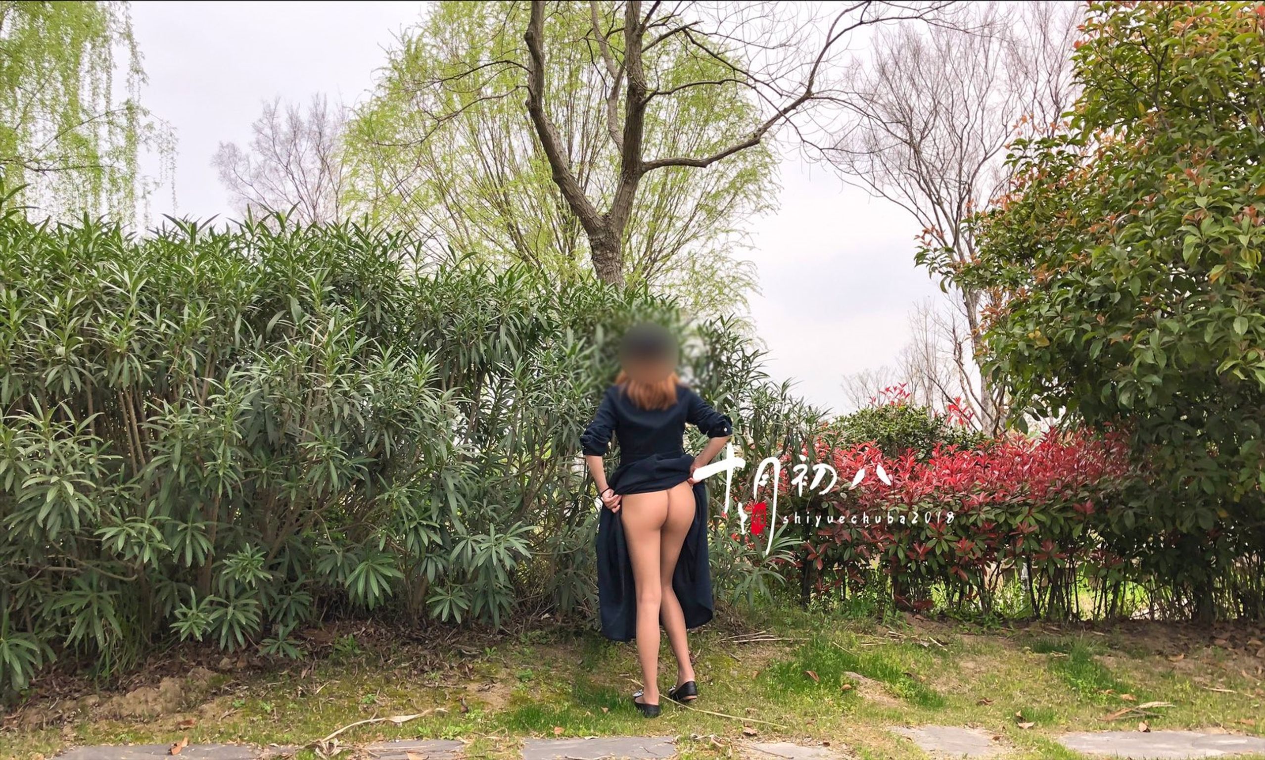 十月初八: 人前露出私拍合集 (645 photos + 8 videos) 10 十月初八: 人前露出私拍合集 (645 photos + 8 videos) 10