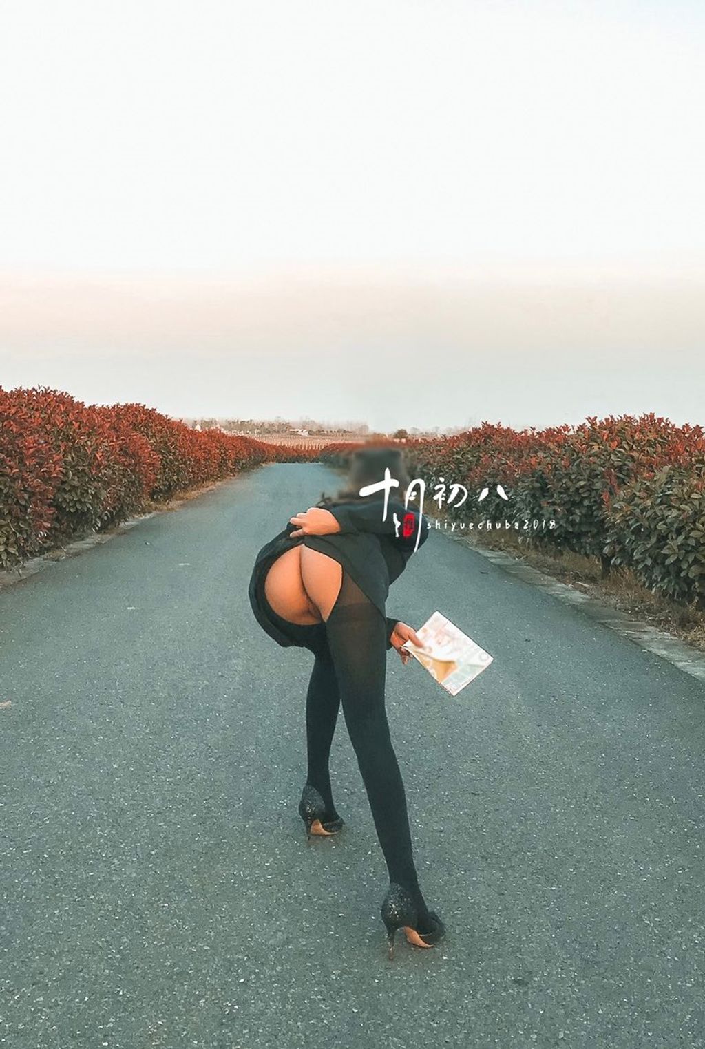 十月初八: 人前露出私拍合集 (645 photos + 8 videos) 17 十月初八: 人前露出私拍合集 (645 photos + 8 videos) 17