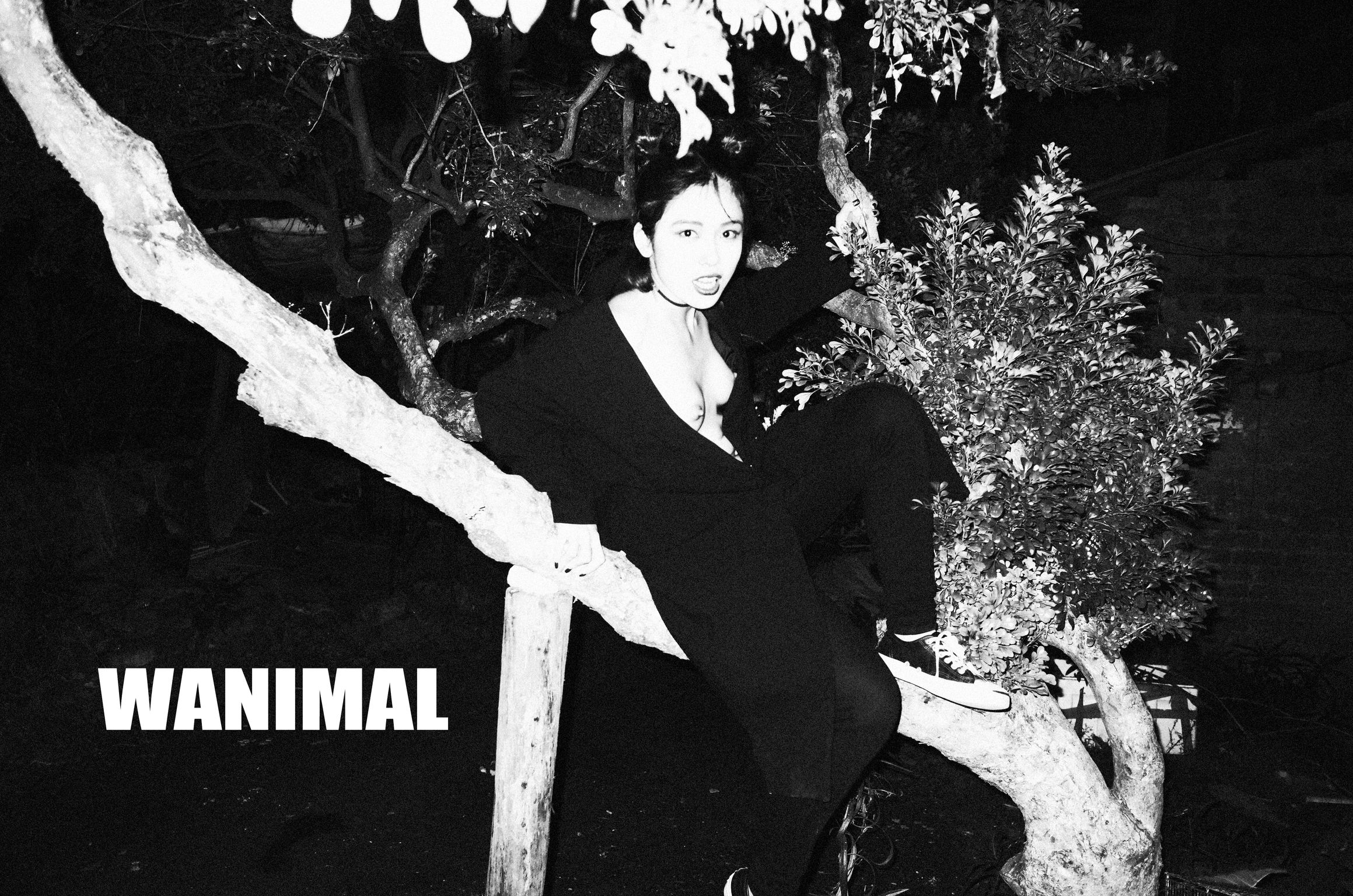 [OtherXXX] [WANIMAL王动] VIP套图 官方出品 No.08 (150 photos)