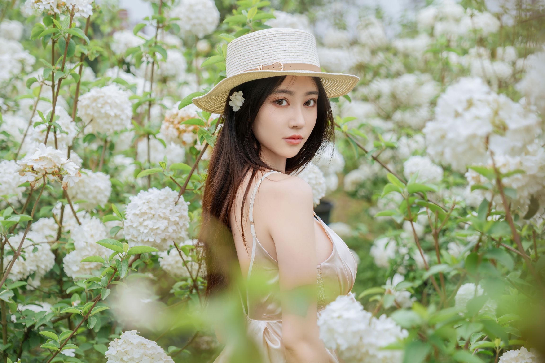 Coser@年年Nnian: 木绣球 (82 photos)