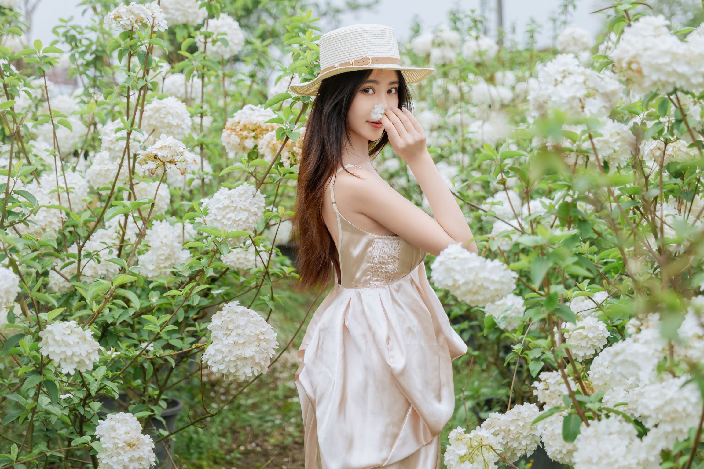 Coser@年年Nnian: 木绣球 (82 photos)