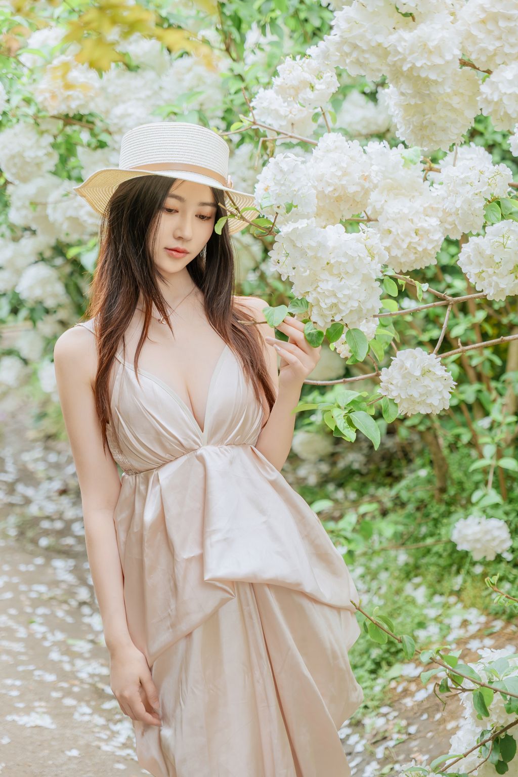 Coser@年年Nnian: 木绣球 (82 photos) 7 Coser@年年Nnian: 木绣球 (82 photos) 7