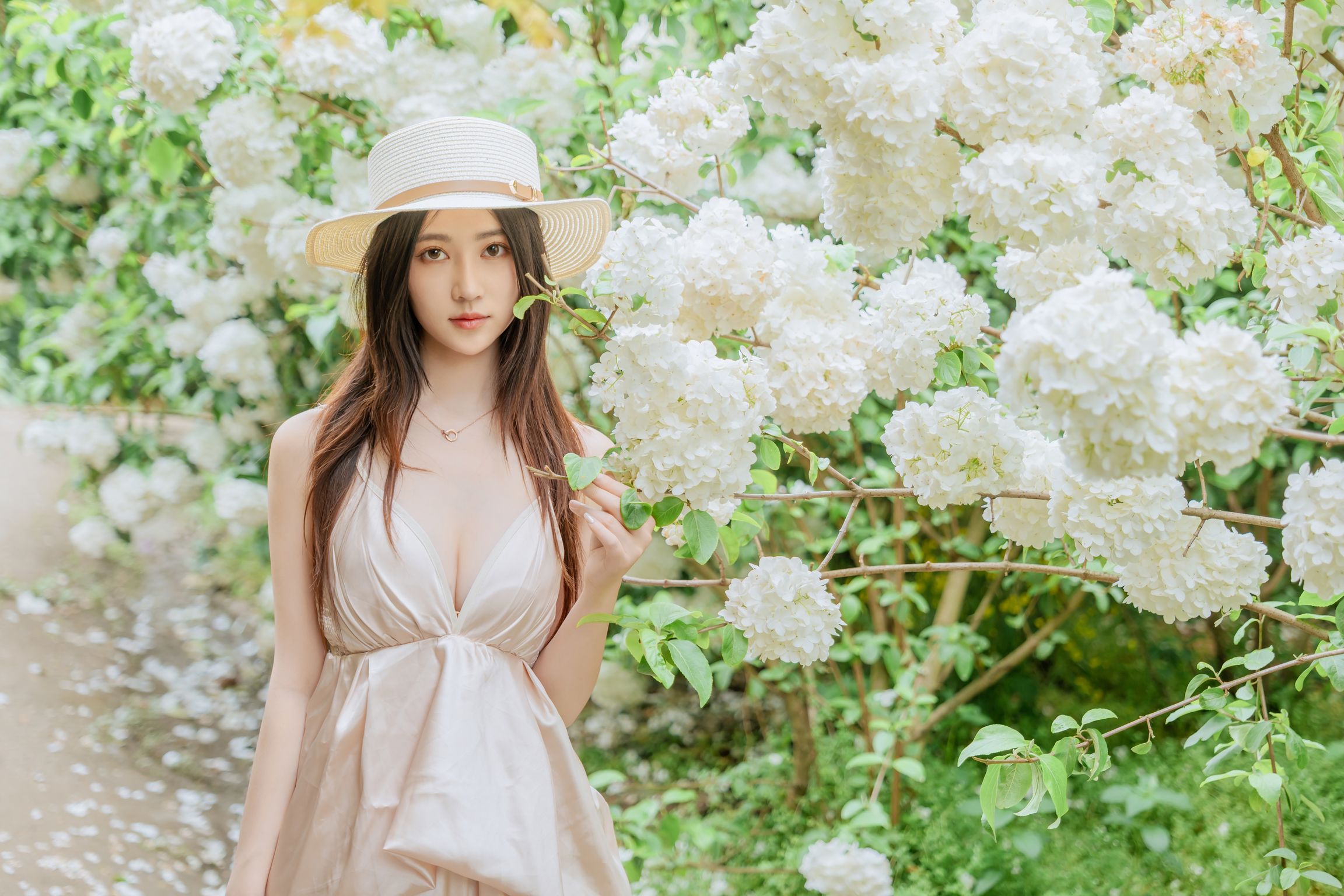 Coser@年年Nnian: 木绣球 (82 photos) 6 Coser@年年Nnian: 木绣球 (82 photos) 6