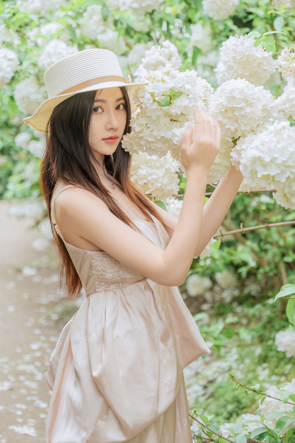 Coser@年年Nnian: 木绣球 (82 photos) 9 Coser@年年Nnian: 木绣球 (82 photos) 9
