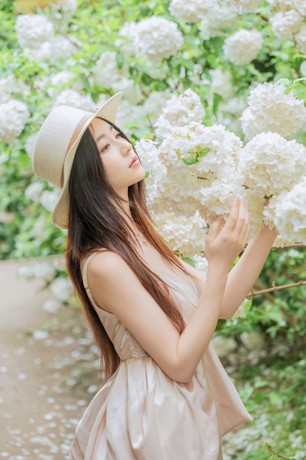 Coser@年年Nnian: 木绣球 (82 photos) 10 Coser@年年Nnian: 木绣球 (82 photos) 10