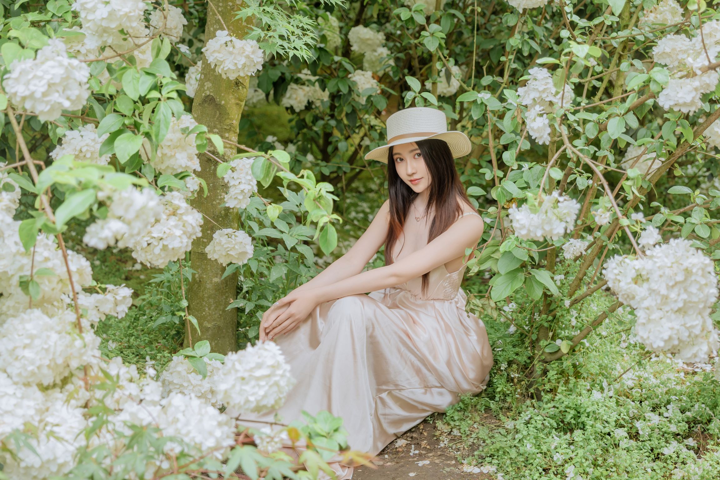 Coser@年年Nnian: 木绣球 (82 photos) 14 Coser@年年Nnian: 木绣球 (82 photos) 14