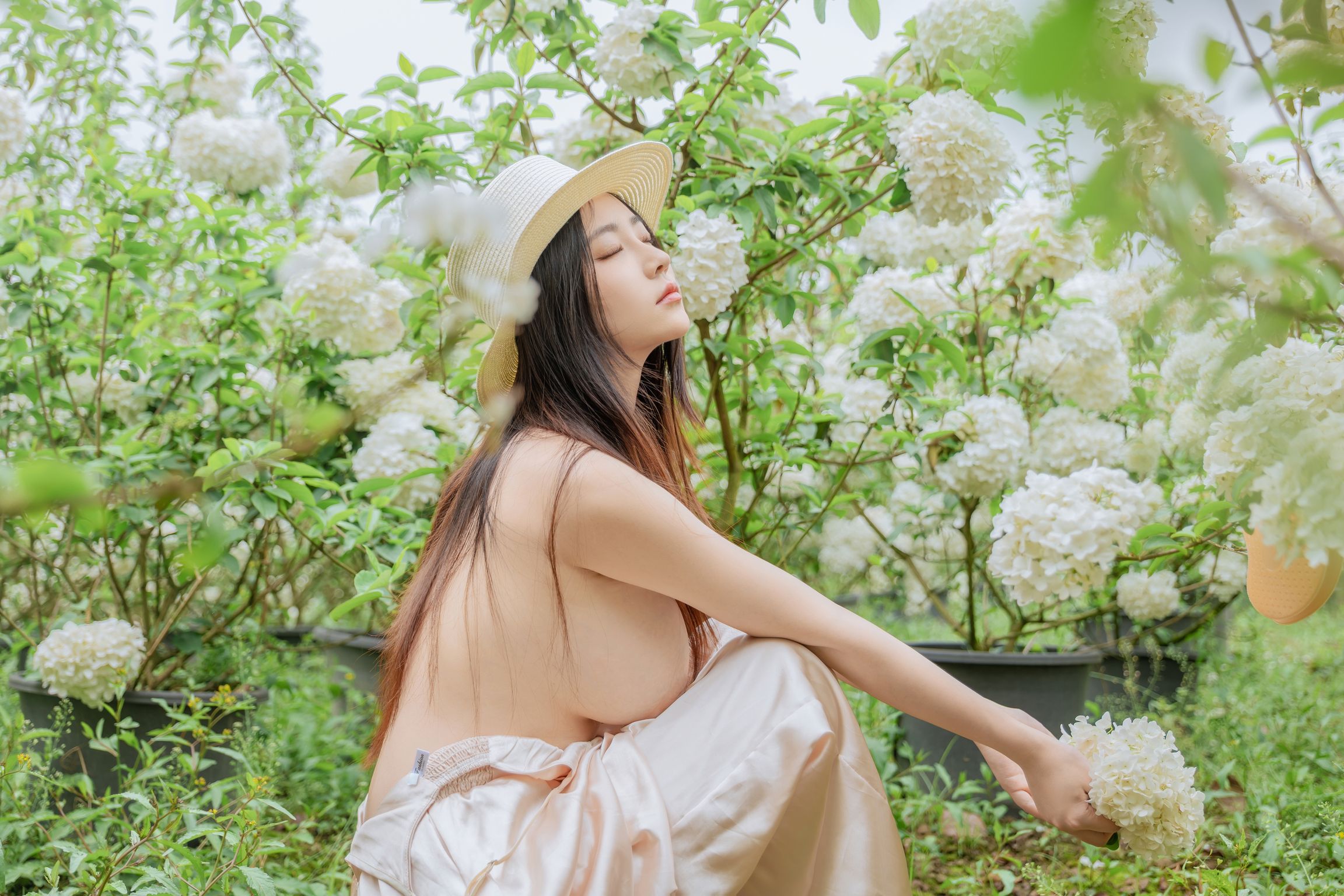 Coser@年年Nnian: 木绣球 (82 photos) 7 Coser@年年Nnian: 木绣球 (82 photos) 7