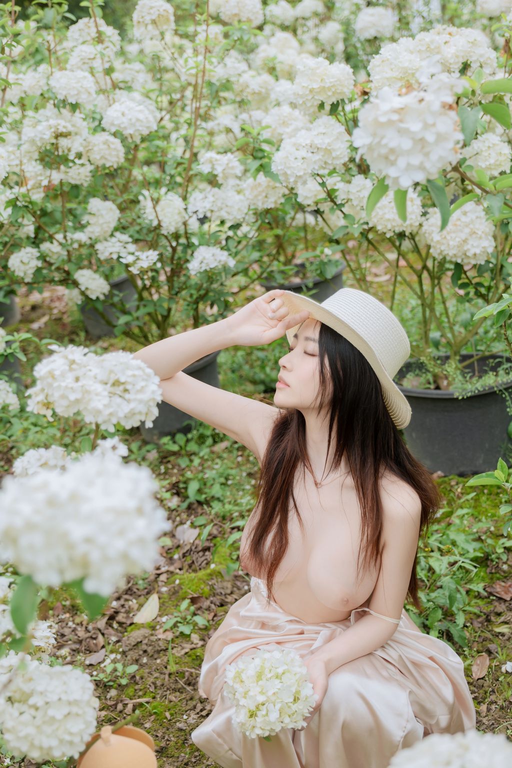 Coser@年年Nnian: 木绣球 (82 photos) 1 Coser@年年Nnian: 木绣球 (82 photos) 1