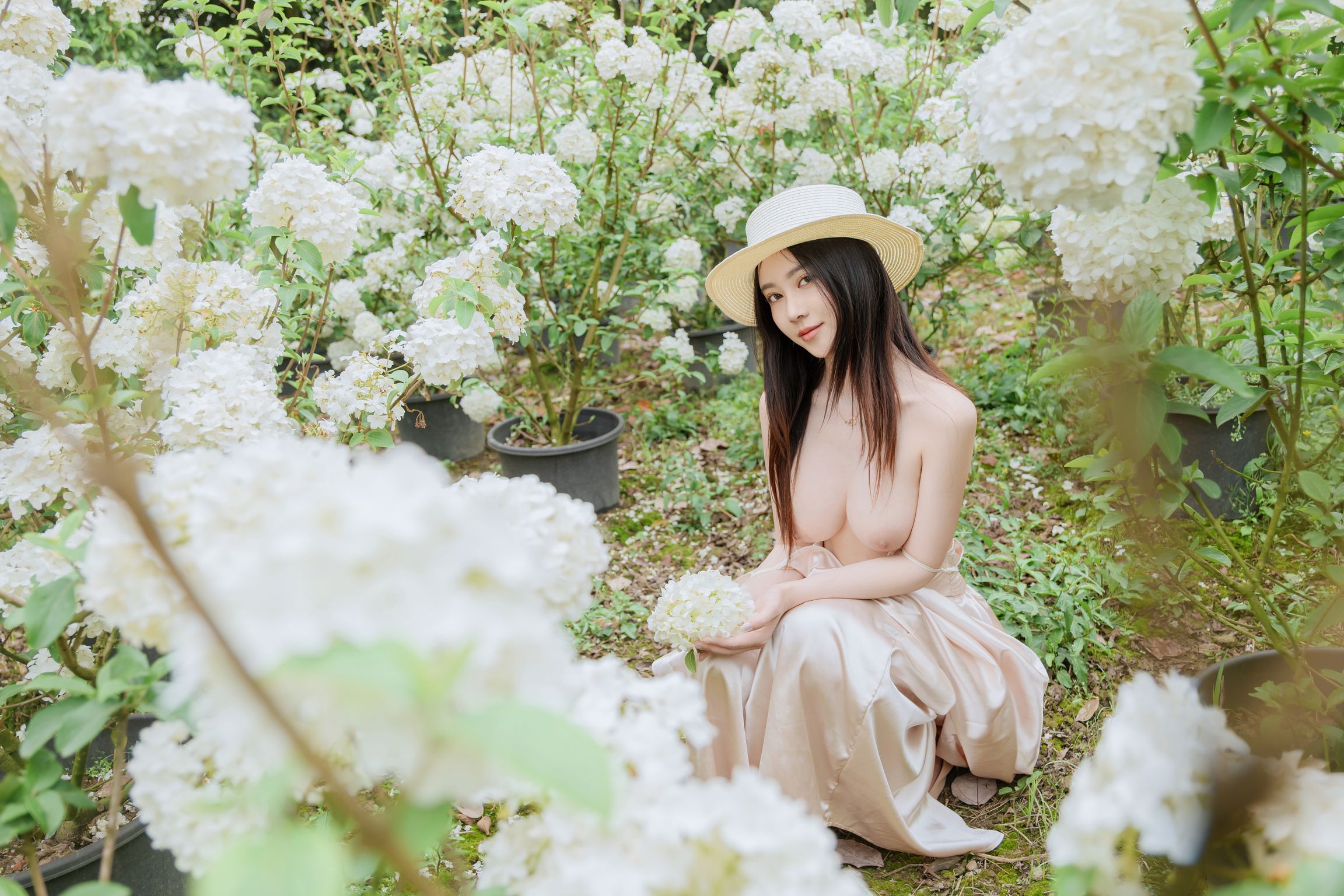 Coser@年年Nnian: 木绣球 (82 photos) 0 Coser@年年Nnian: 木绣球 (82 photos) 0