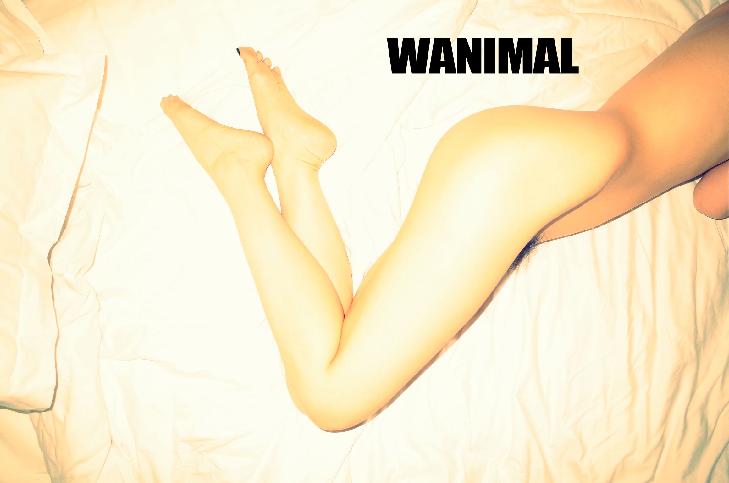 [OtherXXX] [WANIMAL王动] VIP套图 官方出品 No.10 (203 photos)