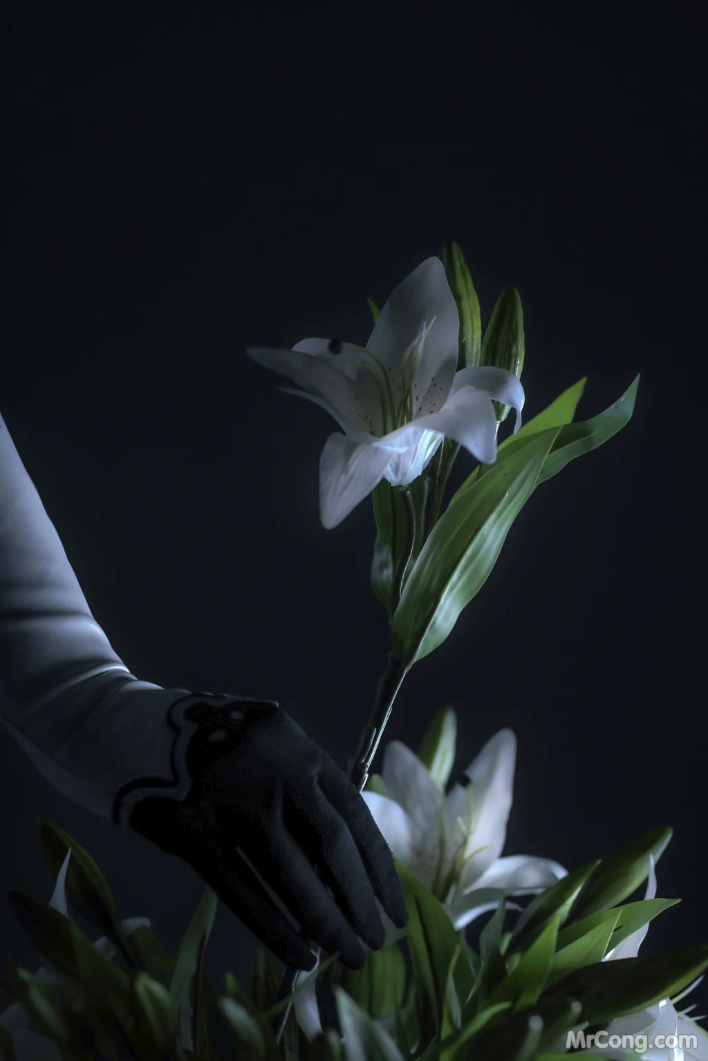 Coser@Sayathefox: 2B The White Body (10 photos) 4 Coser@Sayathefox: 2B The White Body (10 photos) 4