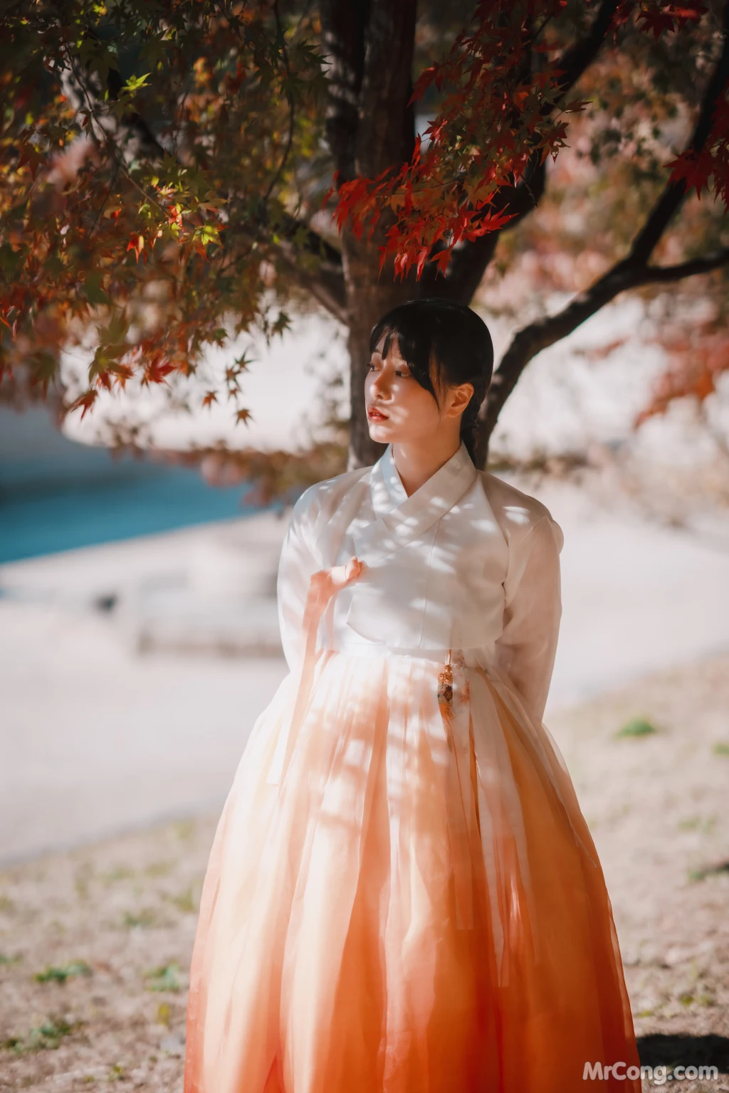 DJAWA Photo - ZziZzi: "Chuseok" (133 photos) 1 DJAWA Photo - ZziZzi: "Chuseok" (133 photos) 1