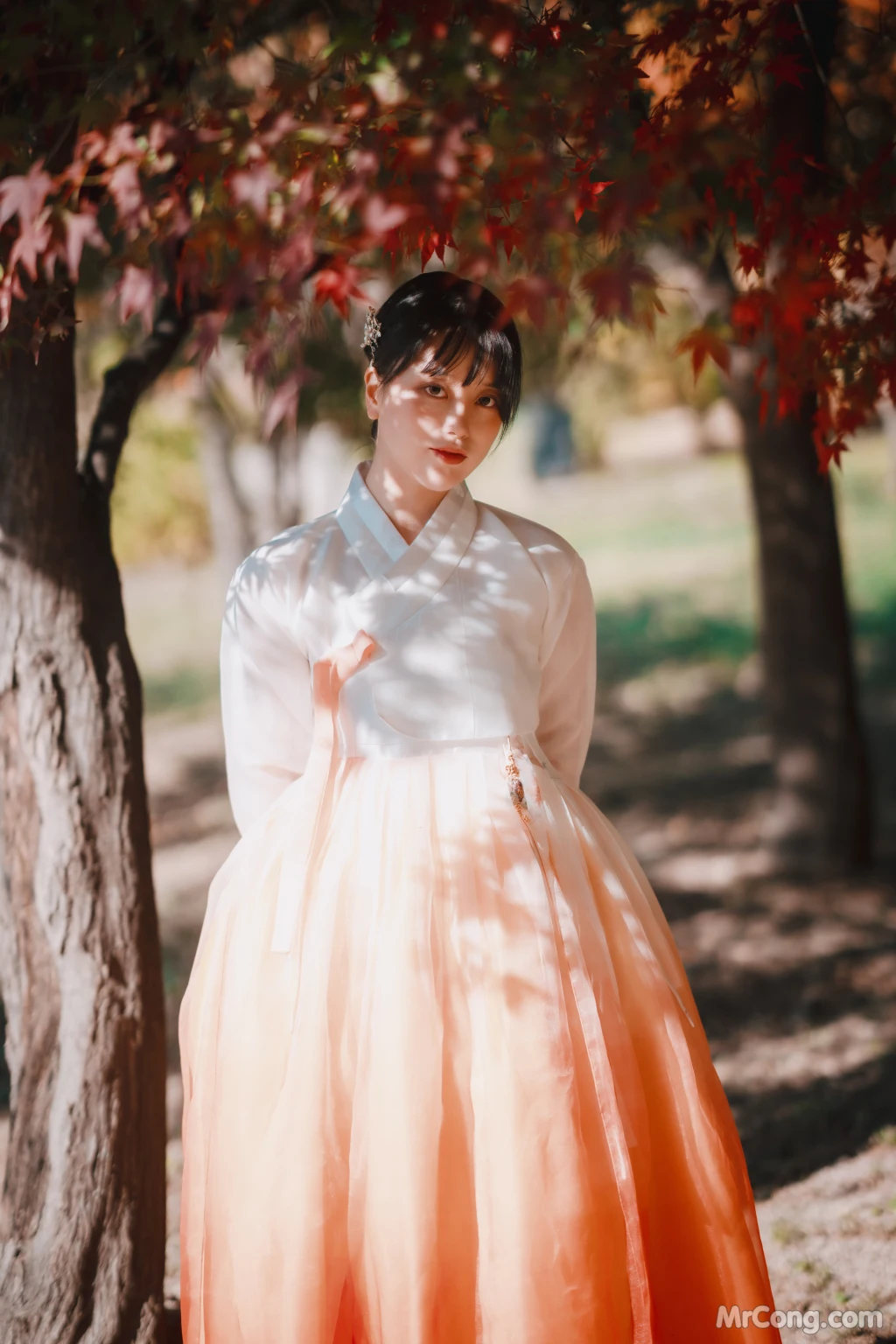 DJAWA Photo - ZziZzi: "Chuseok" (133 photos) 2 DJAWA Photo - ZziZzi: "Chuseok" (133 photos) 2