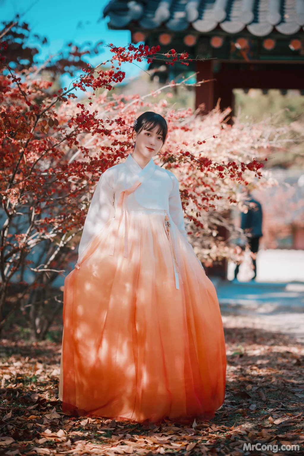 DJAWA Photo - ZziZzi: "Chuseok" (133 photos) 12 DJAWA Photo - ZziZzi: "Chuseok" (133 photos) 12