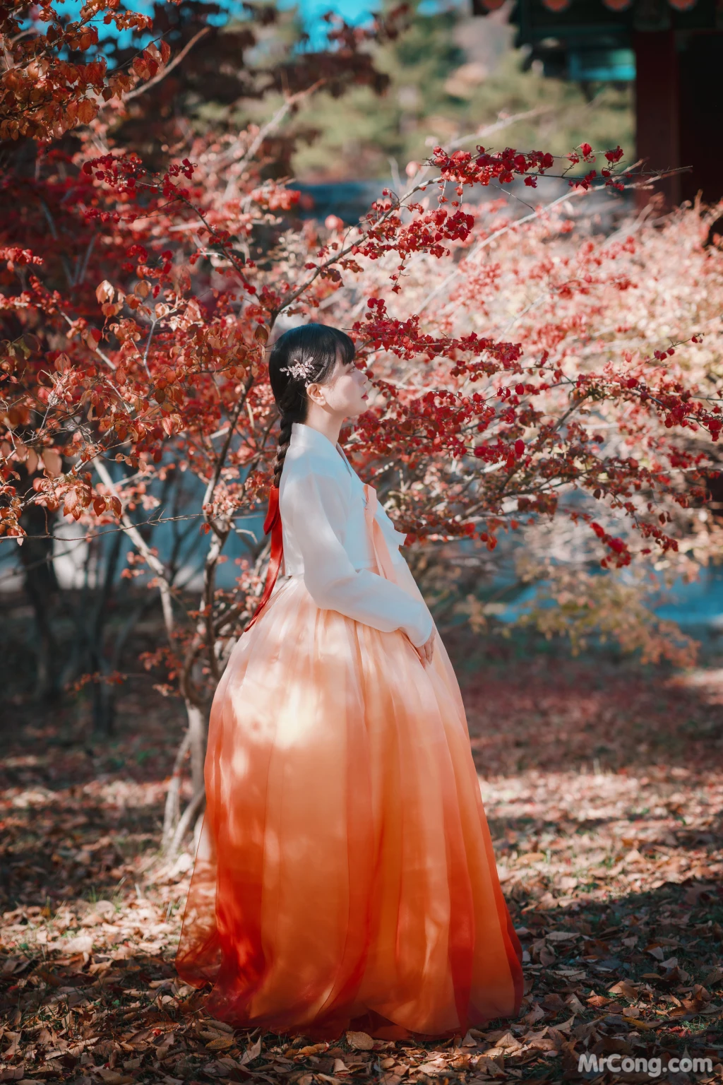 DJAWA Photo - ZziZzi: "Chuseok" (133 photos) 9 DJAWA Photo - ZziZzi: "Chuseok" (133 photos) 9