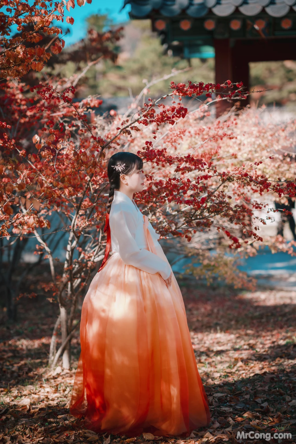 DJAWA Photo - ZziZzi: "Chuseok" (133 photos) 10 DJAWA Photo - ZziZzi: "Chuseok" (133 photos) 10