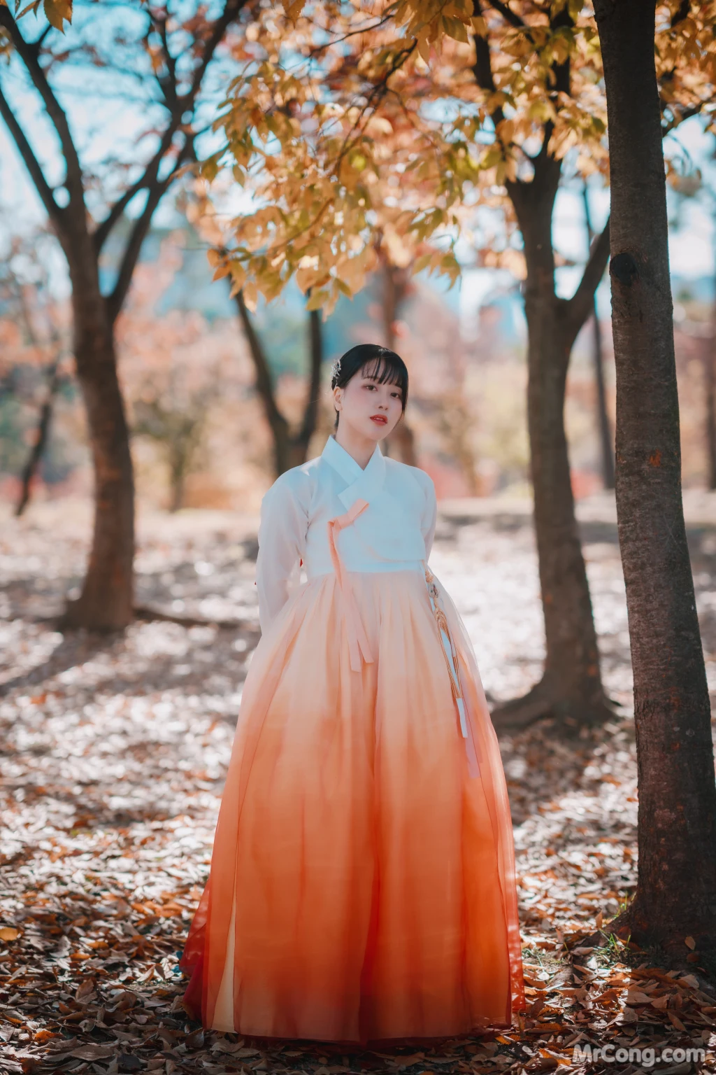 DJAWA Photo - ZziZzi: "Chuseok" (133 photos) 15 DJAWA Photo - ZziZzi: "Chuseok" (133 photos) 15