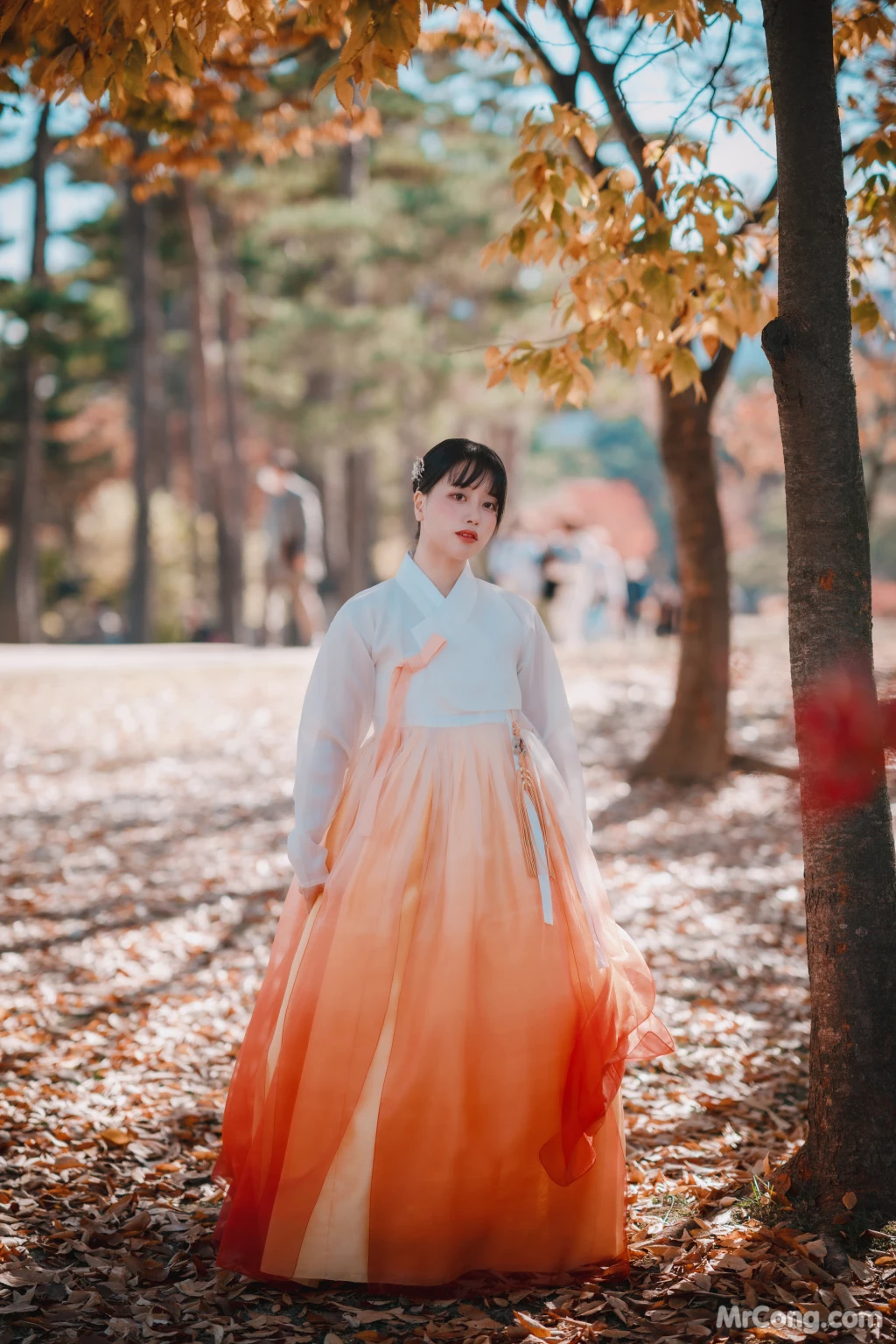 DJAWA Photo - ZziZzi: "Chuseok" (133 photos) 16 DJAWA Photo - ZziZzi: "Chuseok" (133 photos) 16