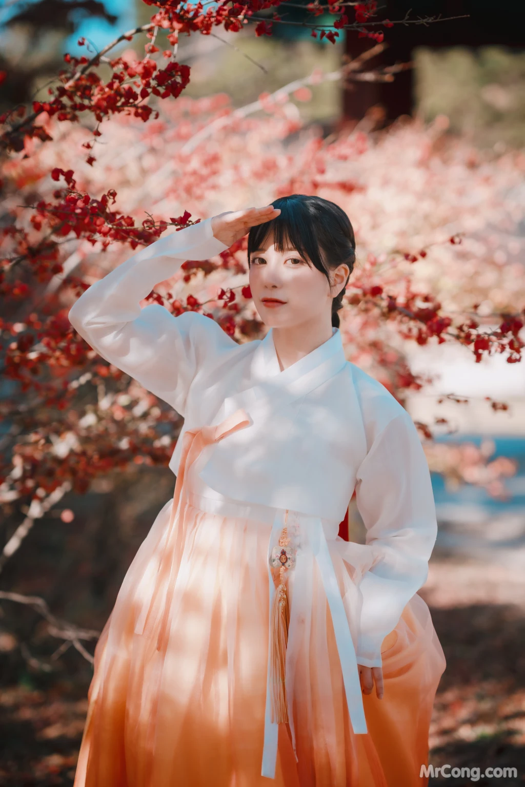 DJAWA Photo - ZziZzi: "Chuseok" (133 photos) 14 DJAWA Photo - ZziZzi: "Chuseok" (133 photos) 14