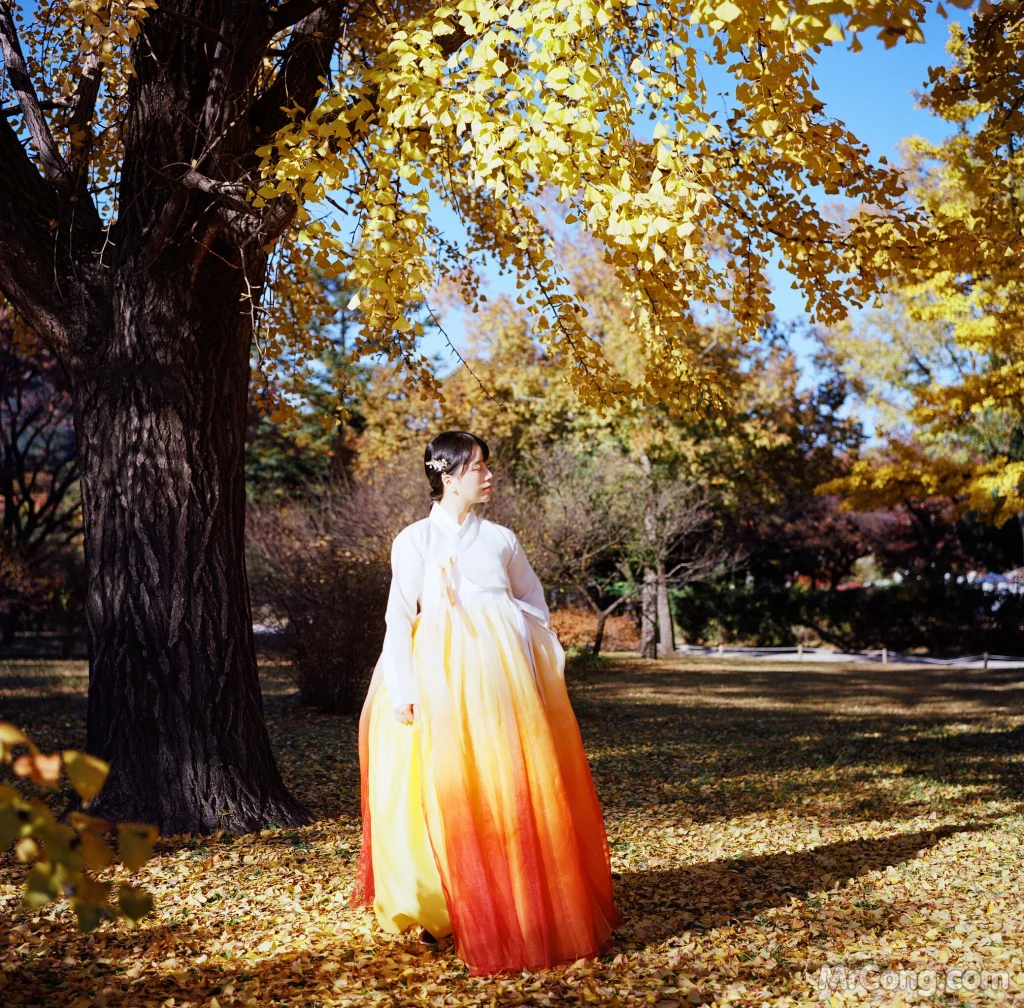 DJAWA Photo - ZziZzi: "Chuseok" (133 photos) 1 DJAWA Photo - ZziZzi: "Chuseok" (133 photos) 1