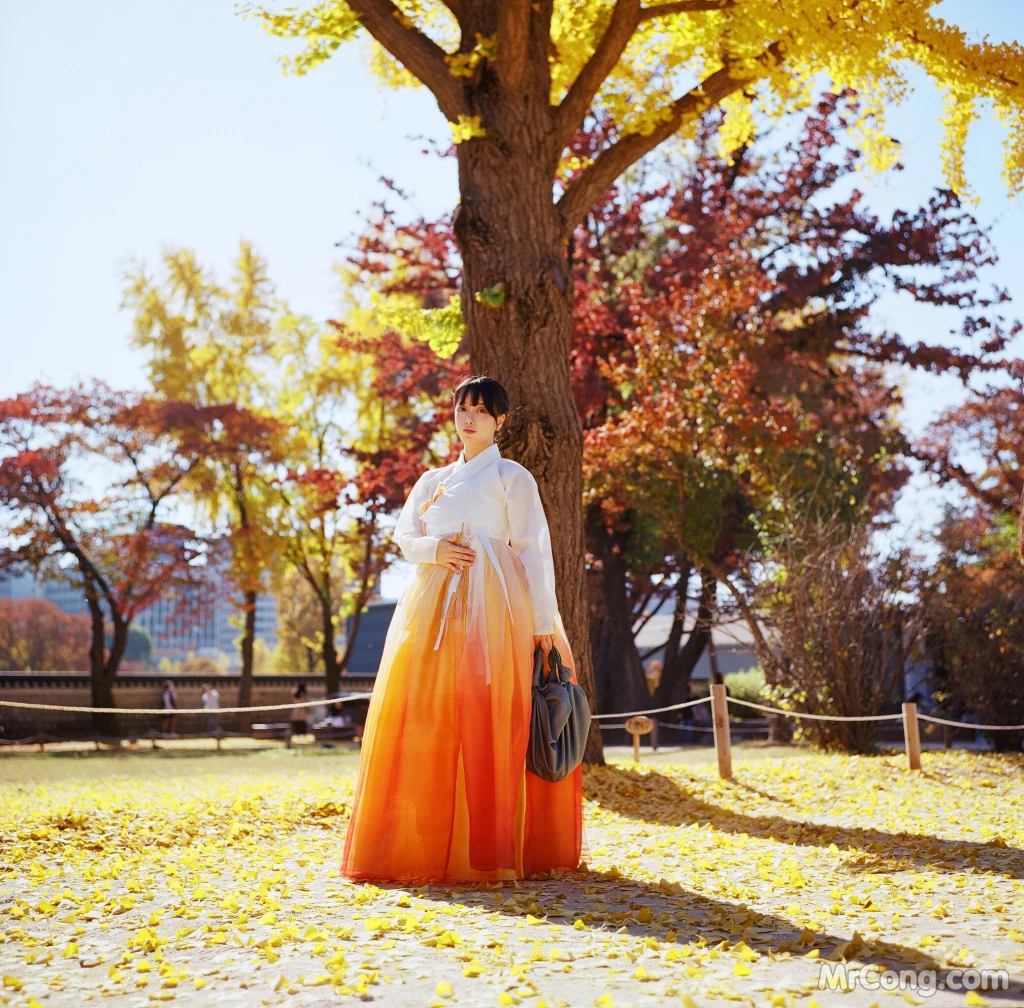 DJAWA Photo - ZziZzi: "Chuseok" (133 photos) 10 DJAWA Photo - ZziZzi: "Chuseok" (133 photos) 10