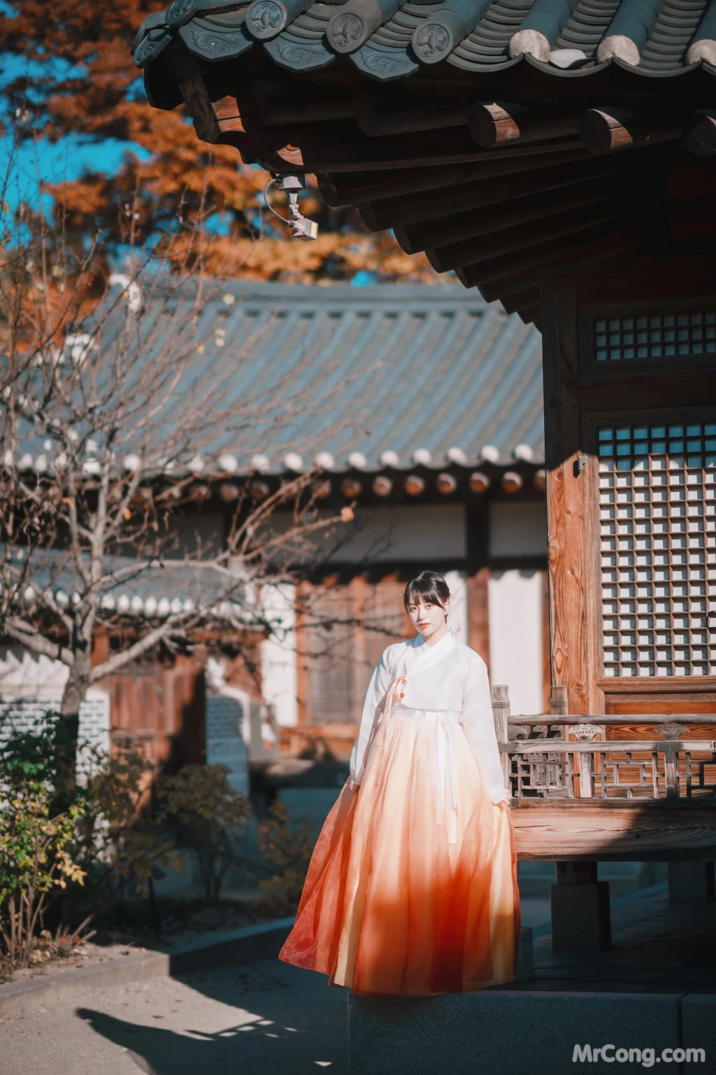 DJAWA Photo - ZziZzi: "Chuseok" (133 photos) 6 DJAWA Photo - ZziZzi: "Chuseok" (133 photos) 6