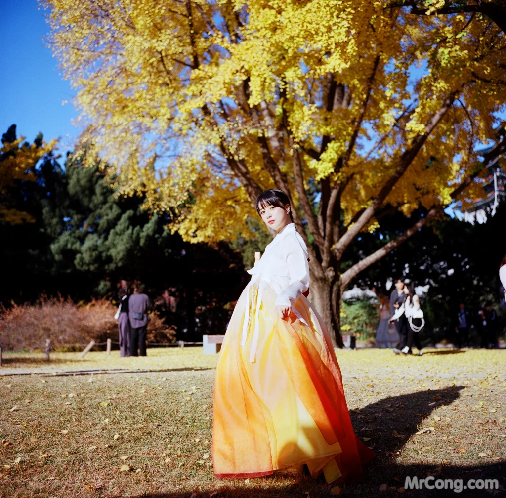 DJAWA Photo - ZziZzi: "Chuseok" (133 photos) 18 DJAWA Photo - ZziZzi: "Chuseok" (133 photos) 18