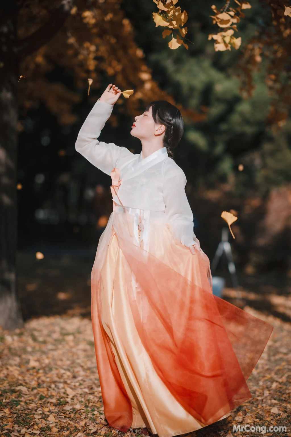 DJAWA Photo - ZziZzi: "Chuseok" (133 photos) 16 DJAWA Photo - ZziZzi: "Chuseok" (133 photos) 16