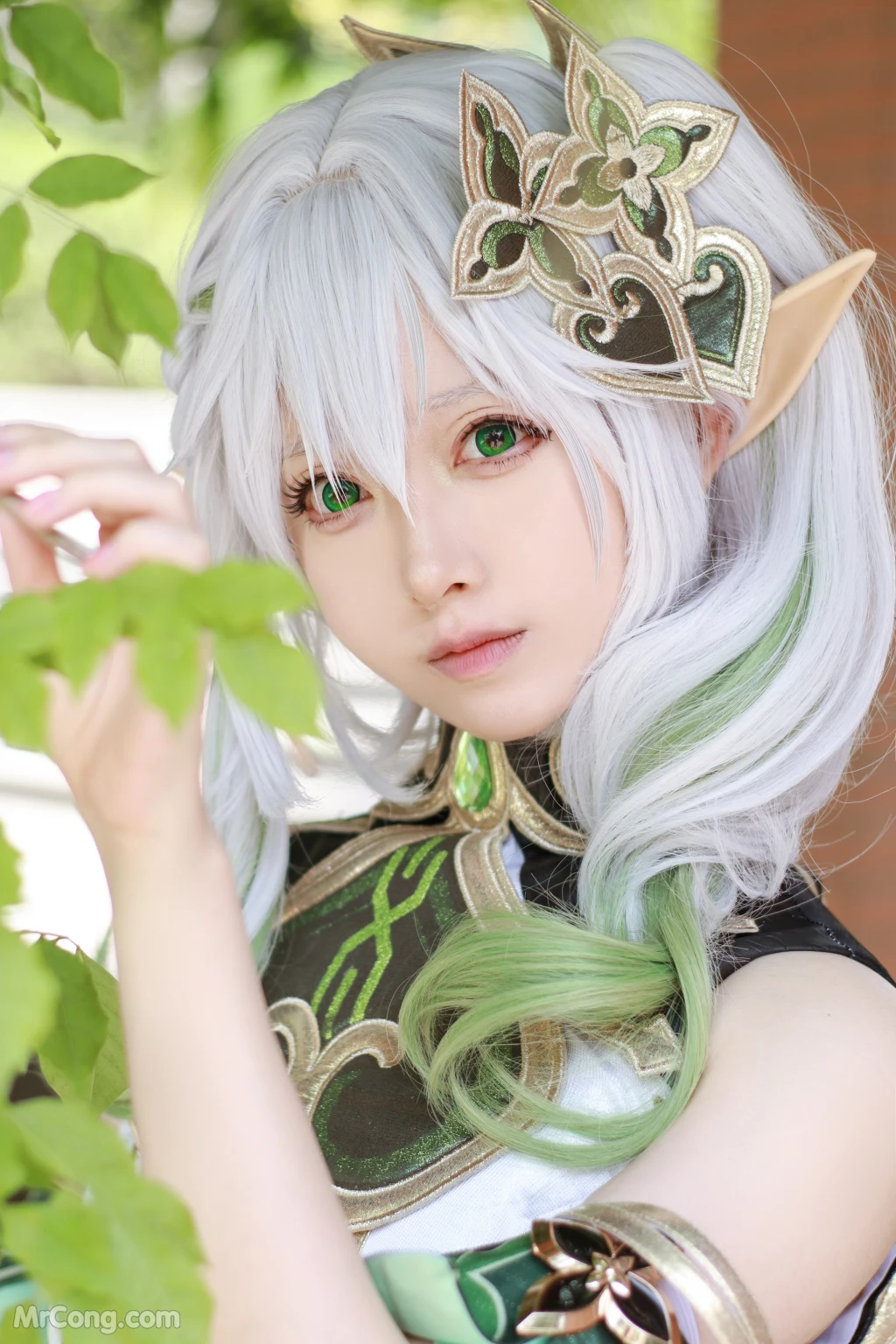 Coser@Asagiriai (愛ちゃん): 纳西妲 (37 photos)