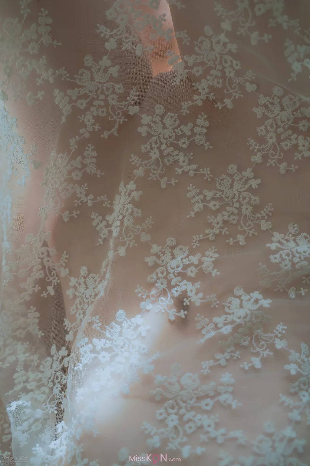 MixMico Adult Photography: 摄影师MixMico大尺度唯美写真 (326 photos ) 17 MixMico Adult Photography: 摄影师MixMico大尺度唯美写真 (326 photos ) 17